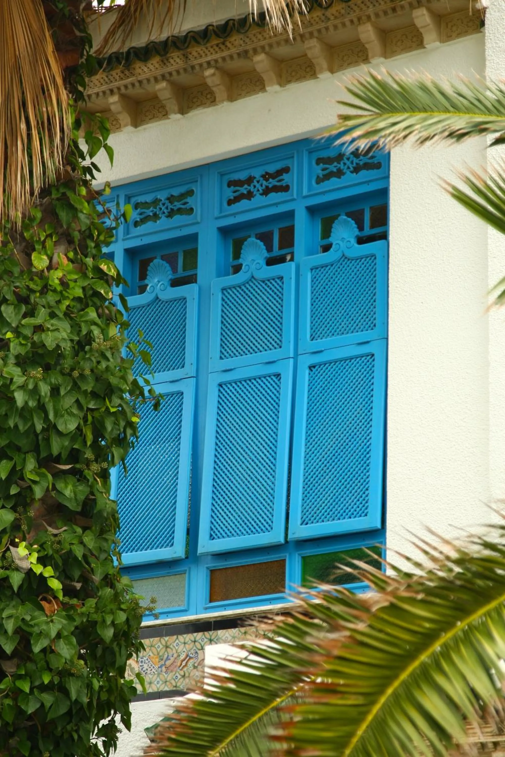 Garden in Dar Marsa Cubes
