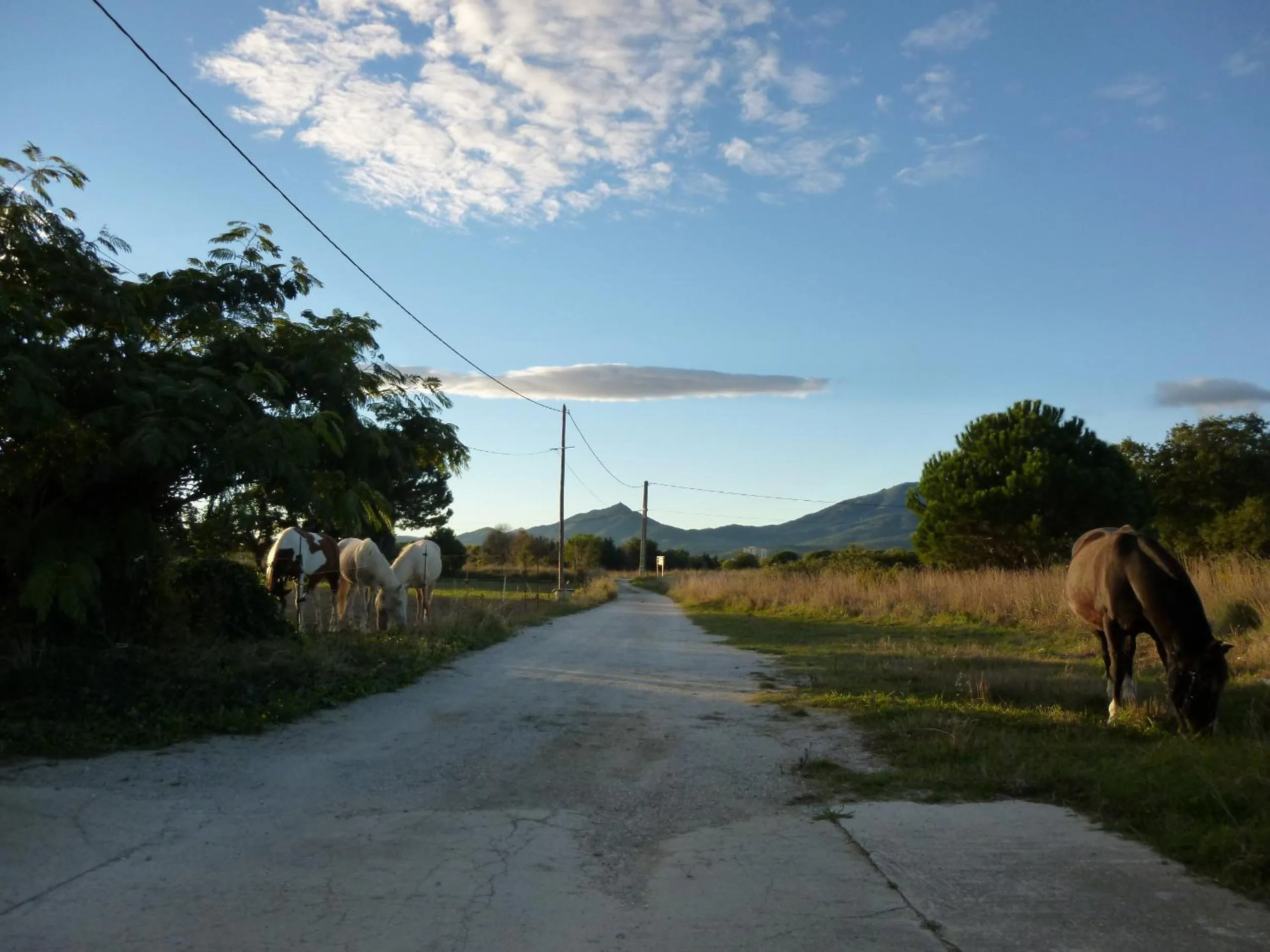 View (from property/room) in Mas Picton