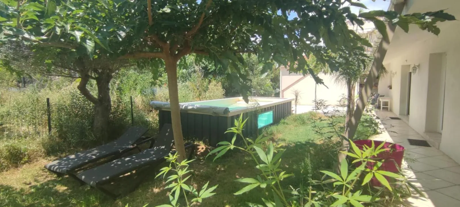 Garden in Mas Picton