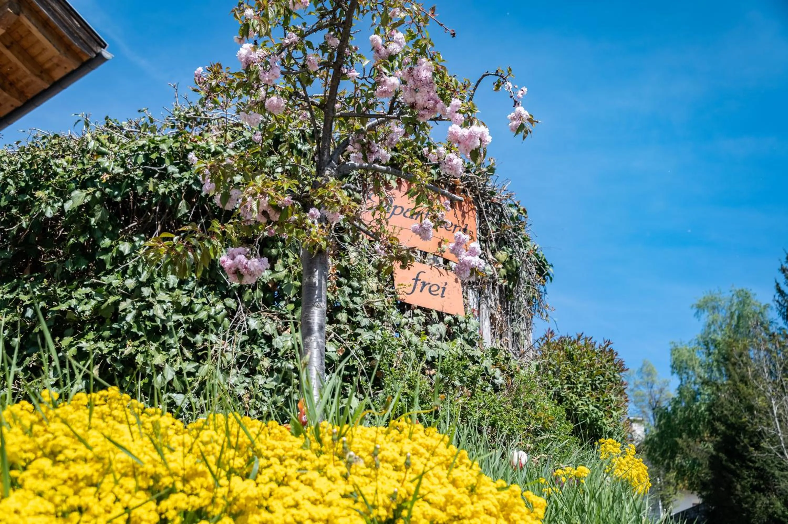 Panorama Residence Schlossblick