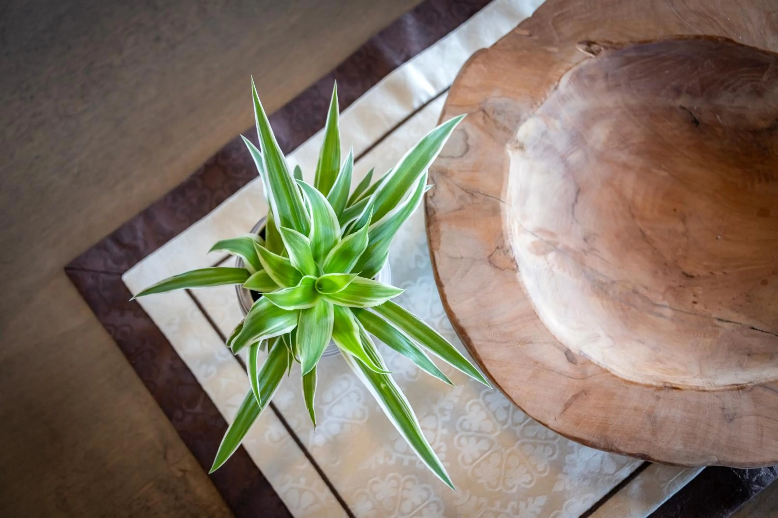 Panorama Residence Schlossblick