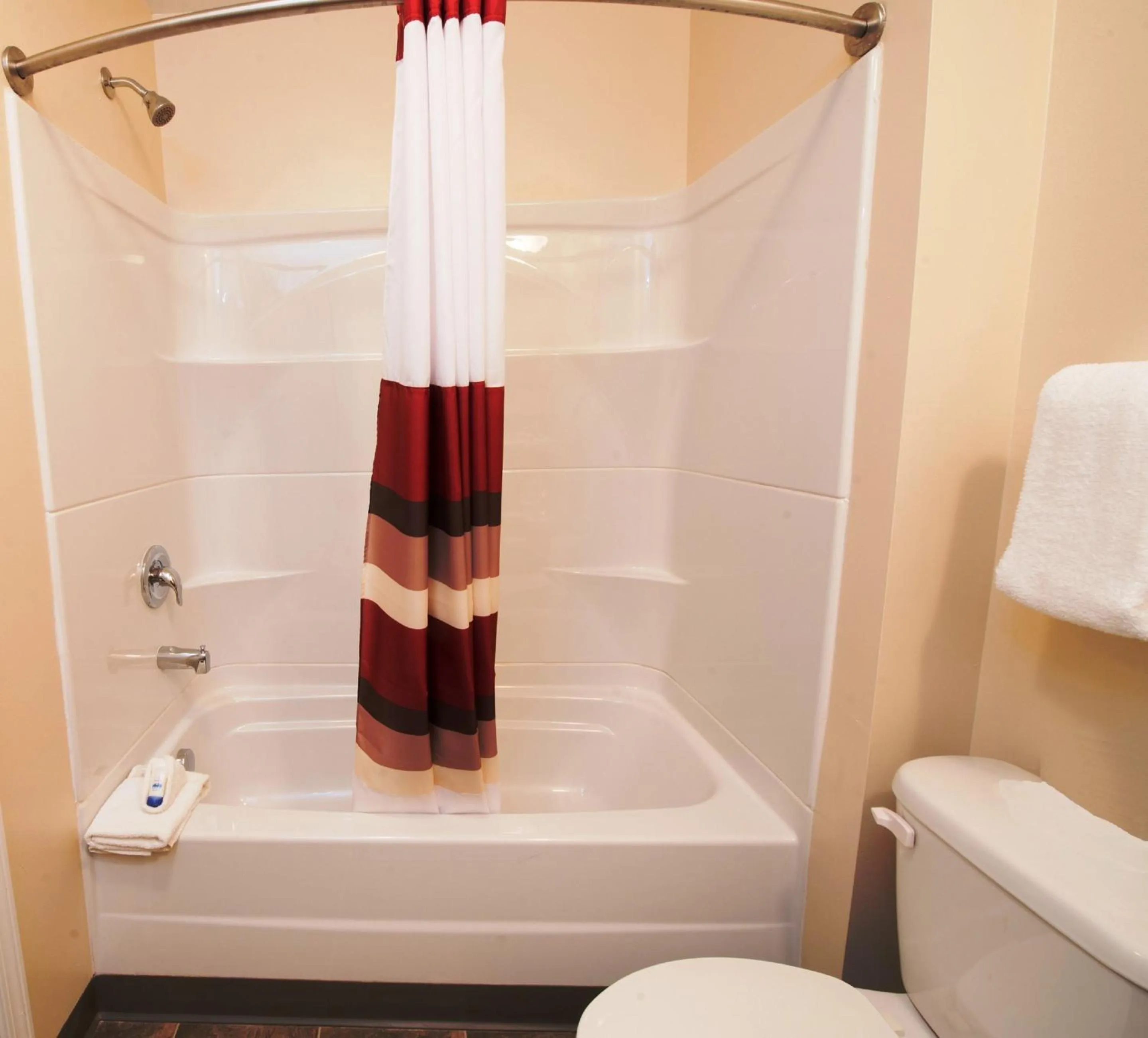 Bathroom in Red Roof Inn & Suites Dickinson