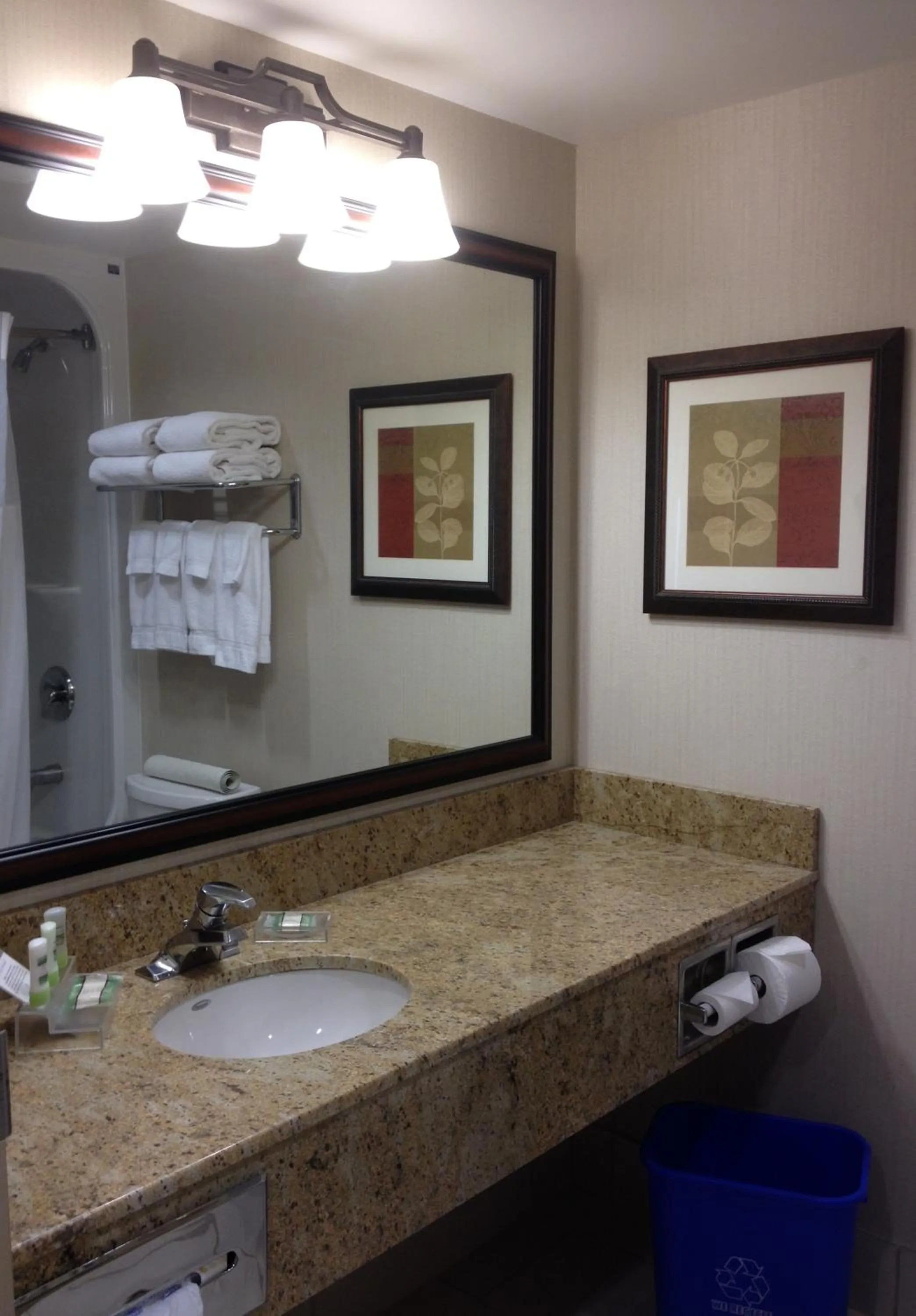 Bathroom in Country Inn & Suites by Radisson, Calgary-Northeast