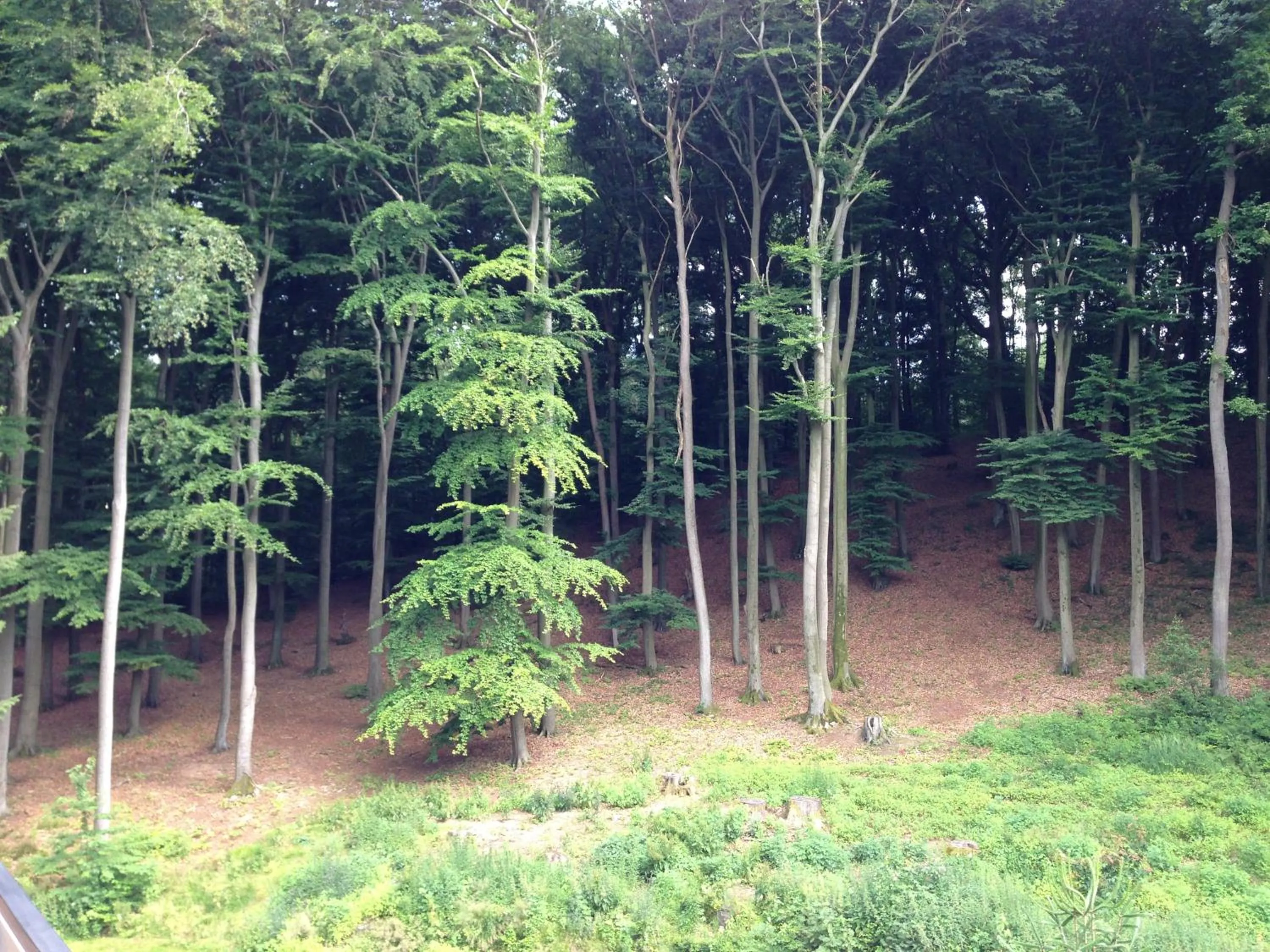 Natural landscape in Waldhotel Porta Westfalica