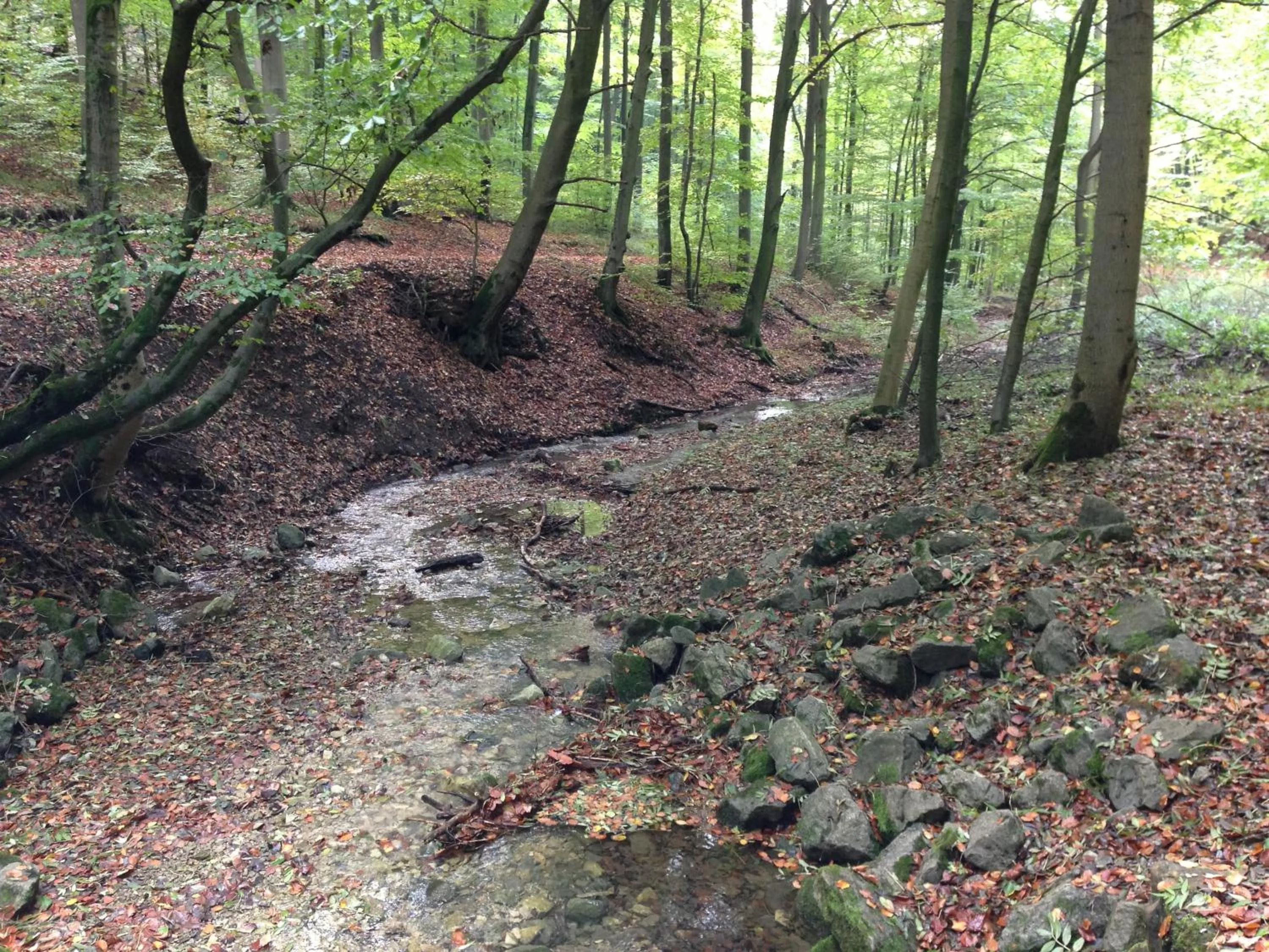 Day in Waldhotel Porta Westfalica