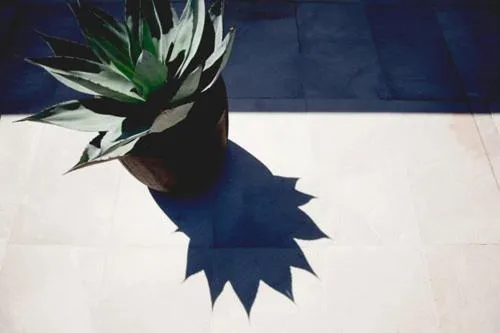 Decorative detail in Maison d’hôtes Les Ajoncs