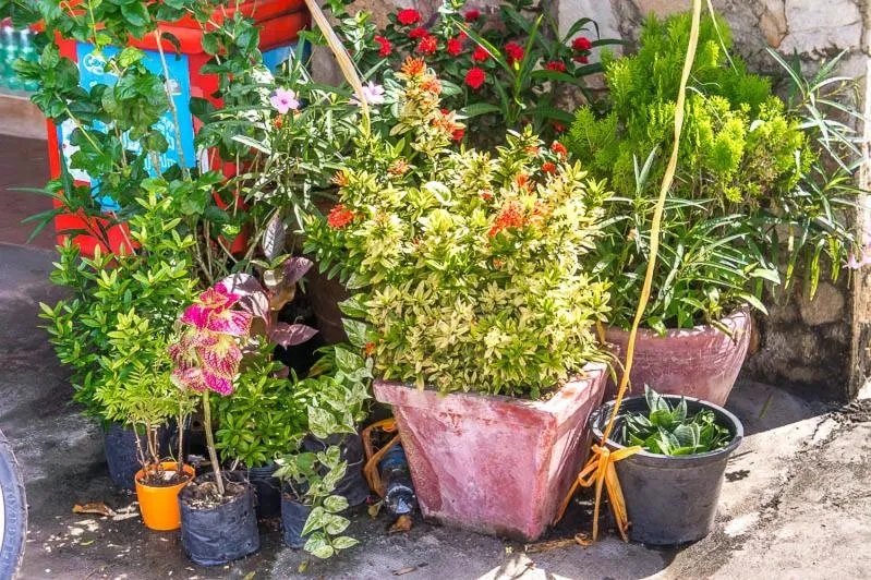 Visal Sak Guesthouse