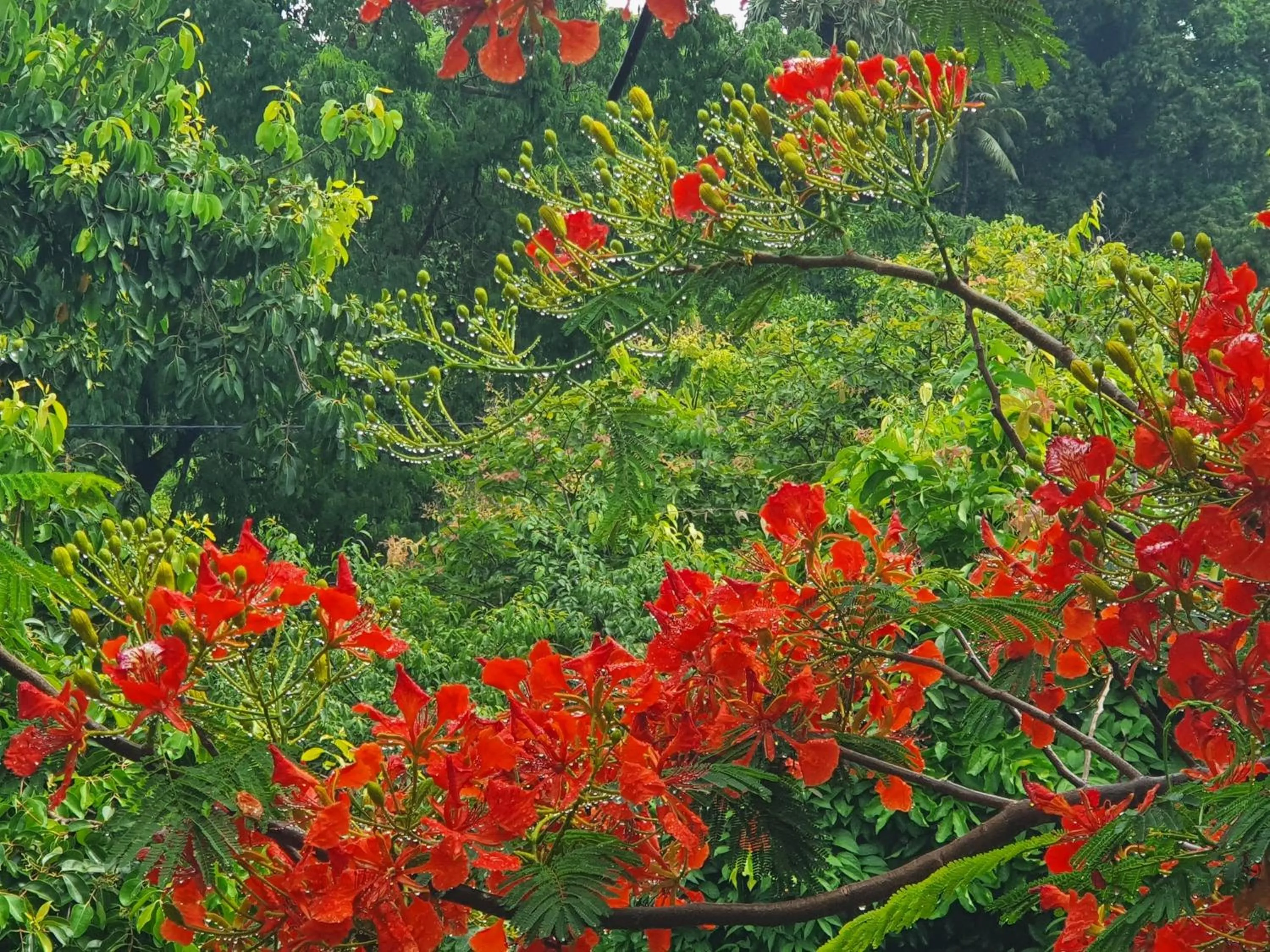 View (from property/room) in Visal Sak Guesthouse