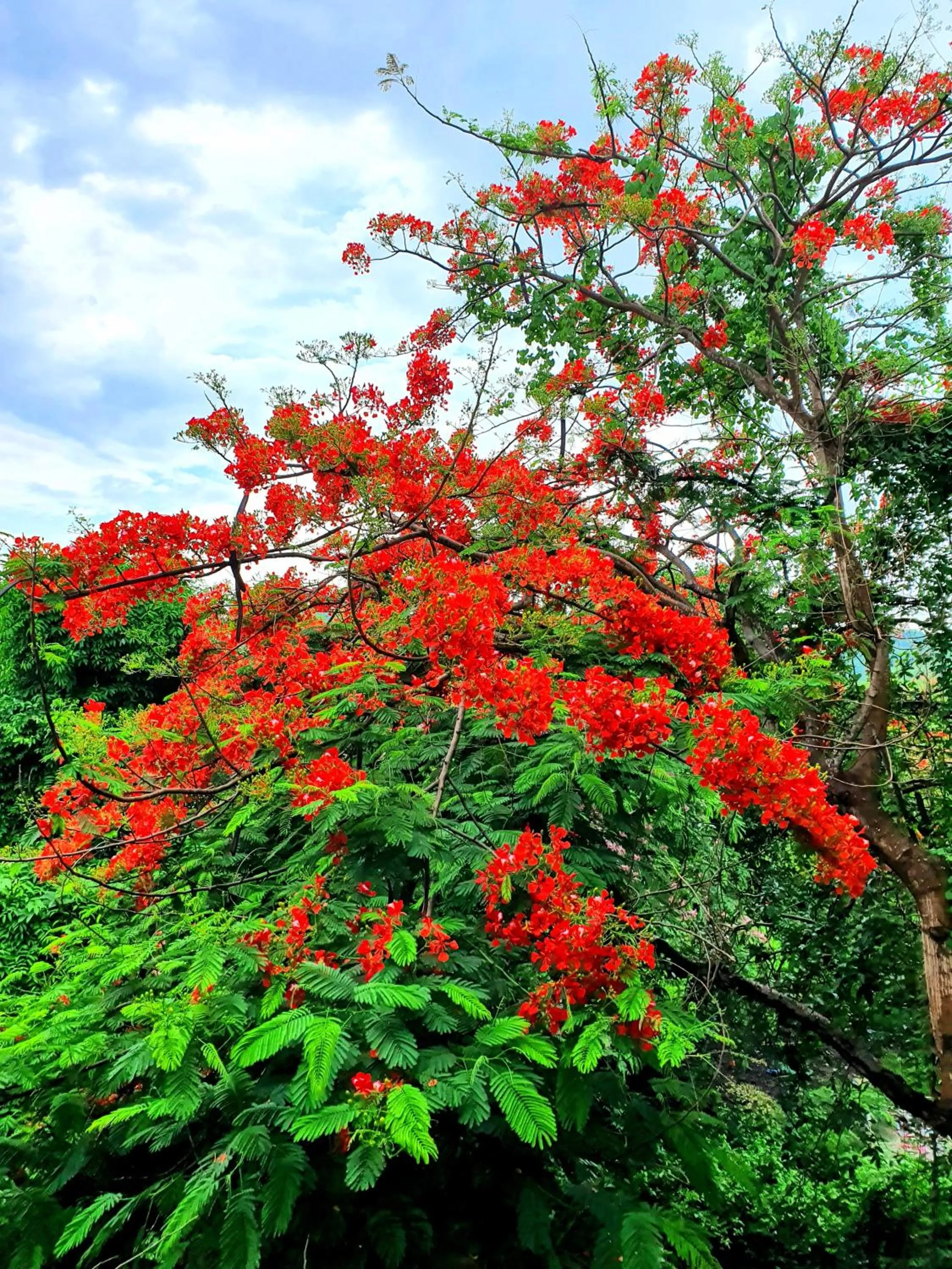 Natural landscape in Visal Sak Guesthouse
