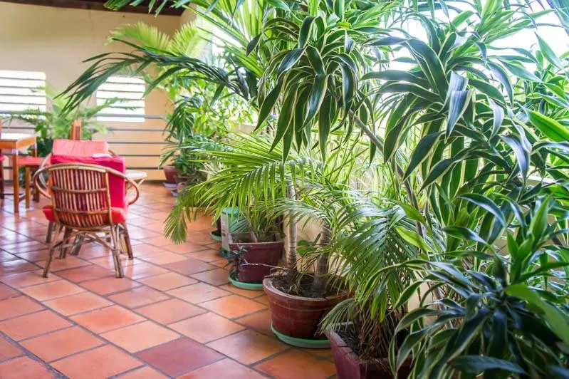 Restaurant/places to eat in Visal Sak Guesthouse