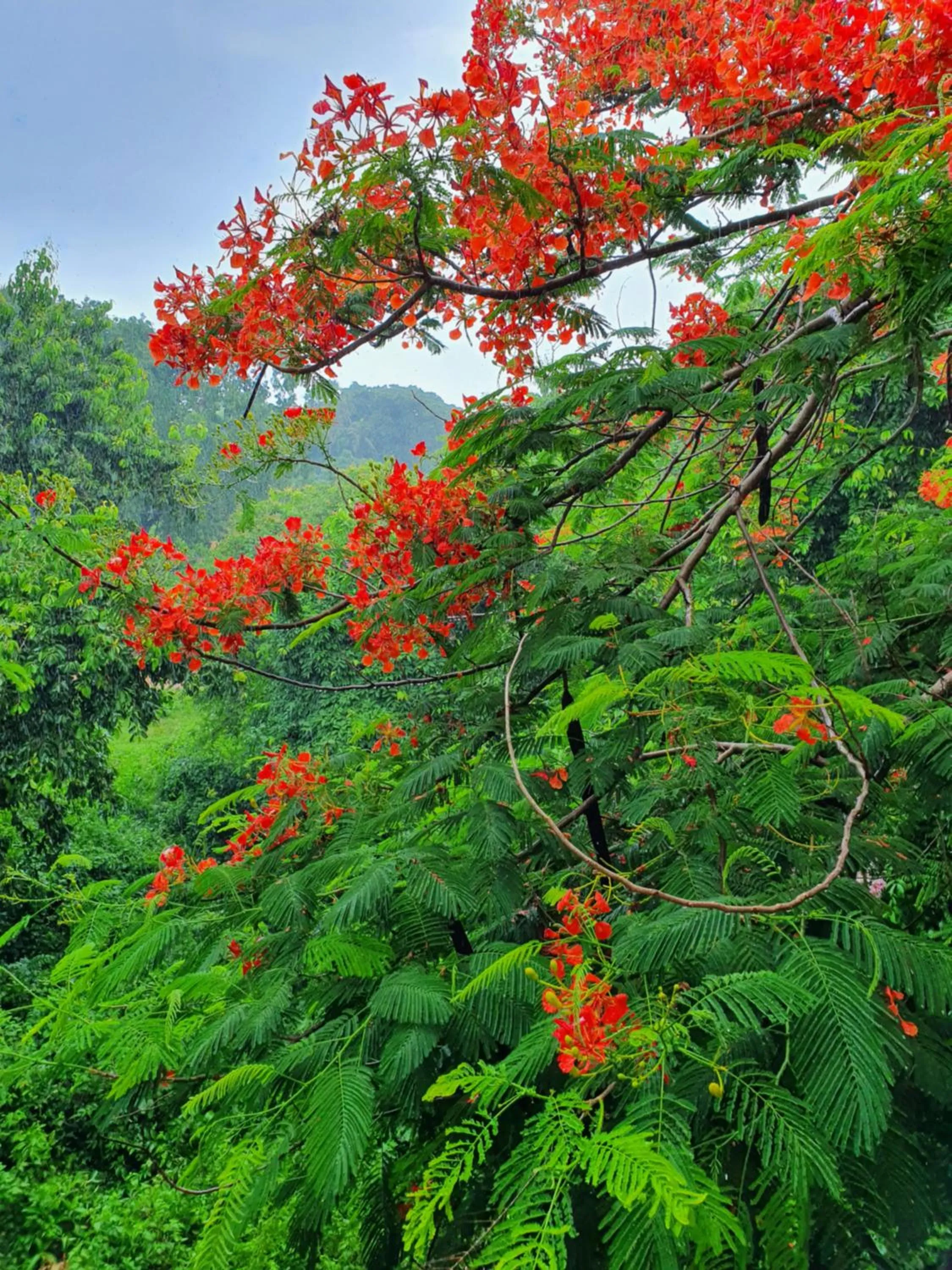 View (from property/room) in Visal Sak Guesthouse