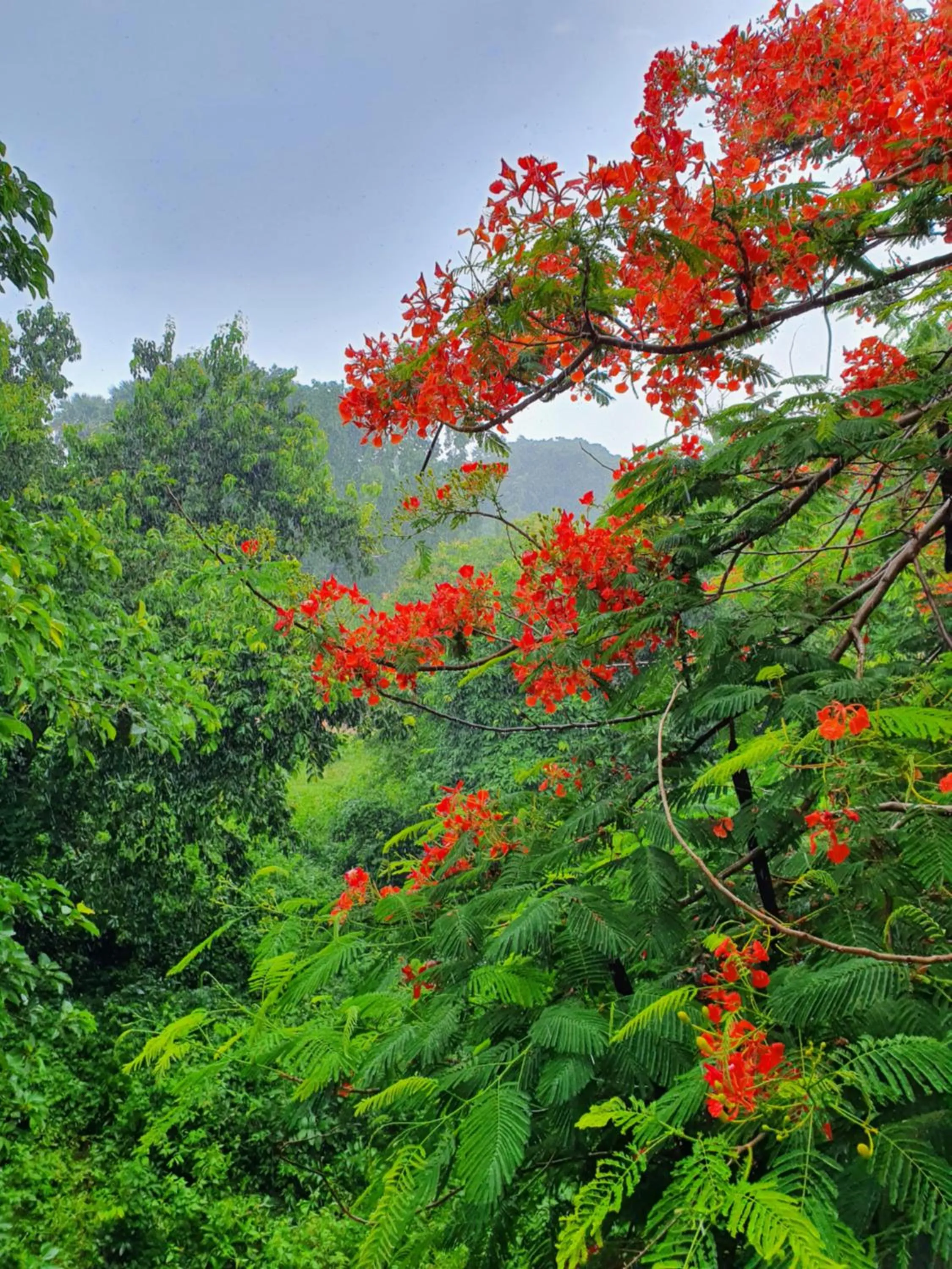 Natural landscape in Visal Sak Guesthouse