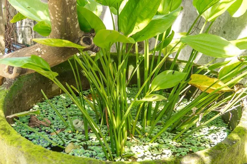 Visal Sak Guesthouse