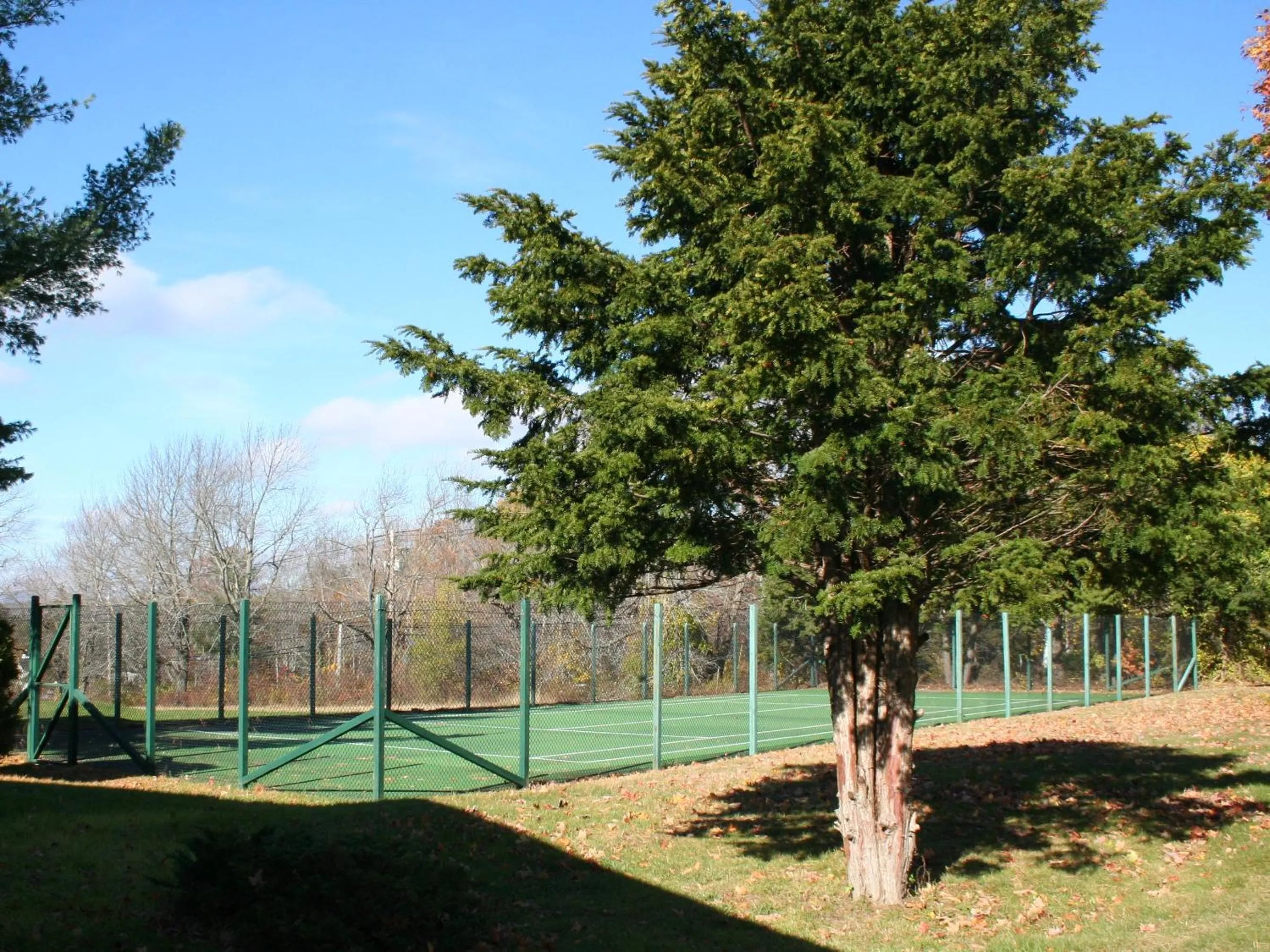 Activities in Windrifter Resort