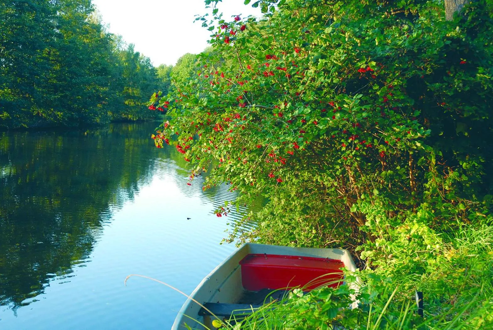 Natural landscape in Cellino Hotel Prieros