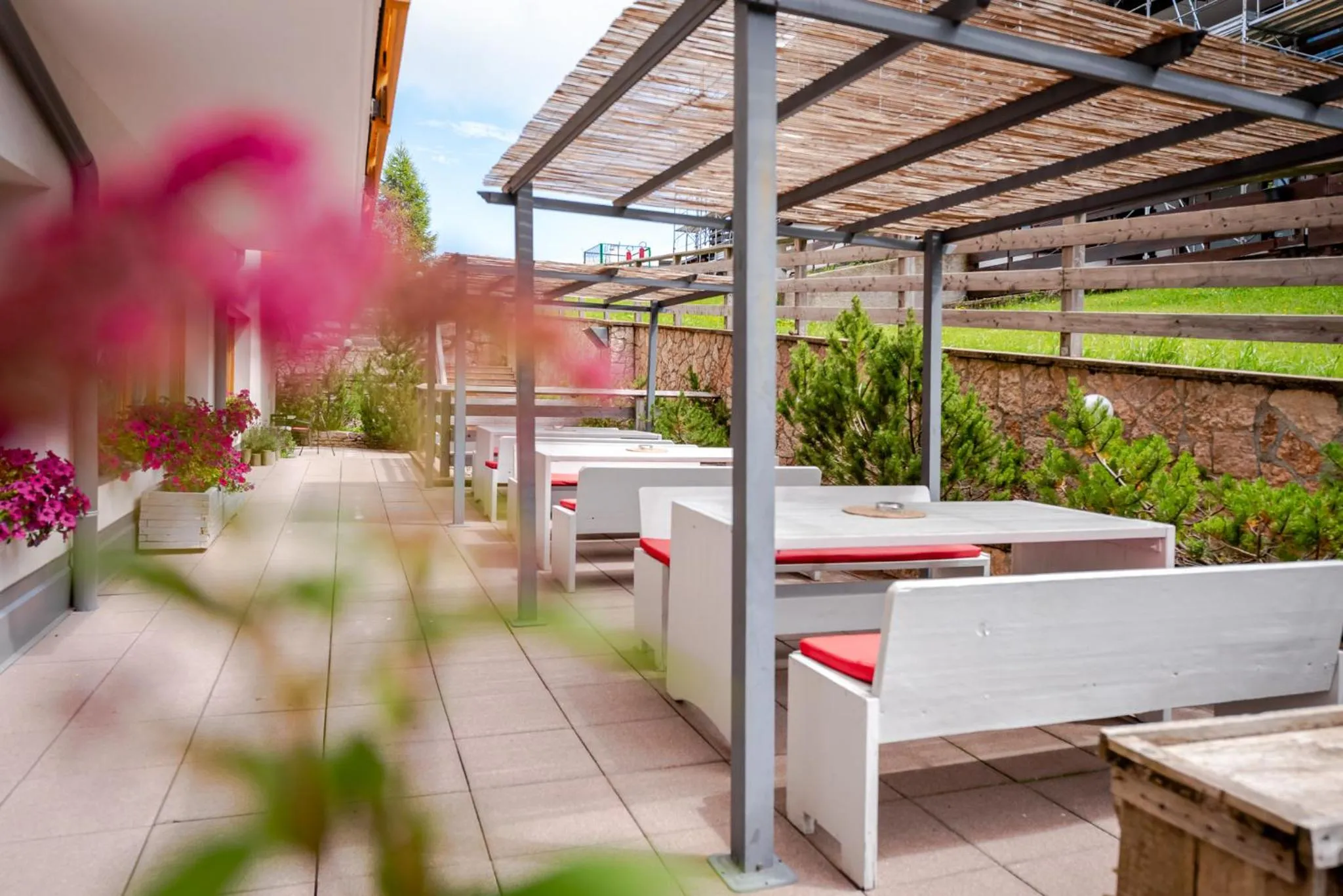 Balcony/Terrace in Hotel Alpine Mugon