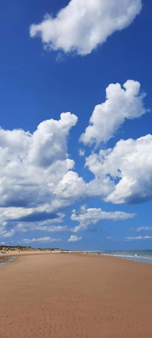 Natural landscape in Regency Guest House