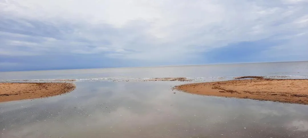 Beach in Regency Guest House