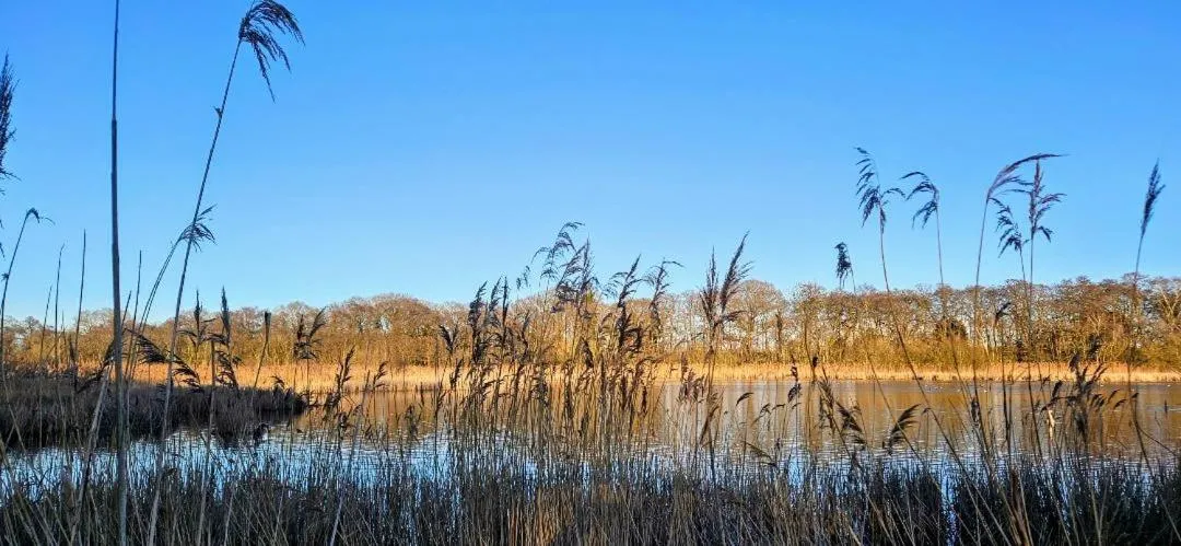 Natural landscape in Regency Guest House