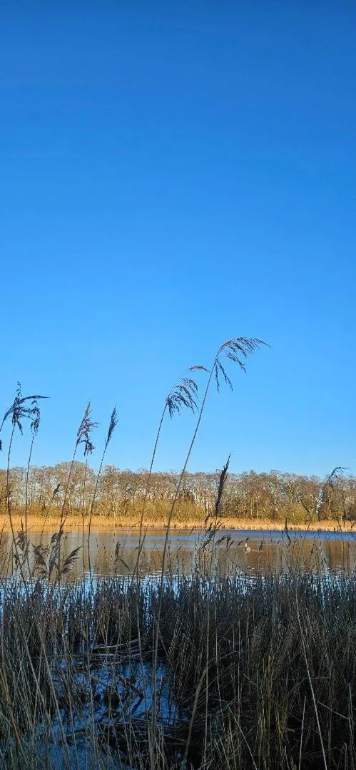 Natural landscape in Regency Guest House
