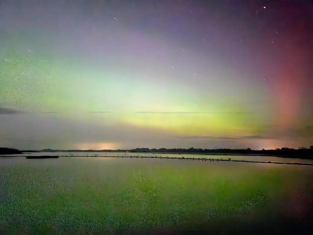 Natural landscape in Regency Guest House