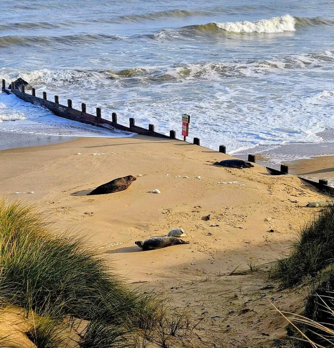 Natural landscape in Regency Guest House