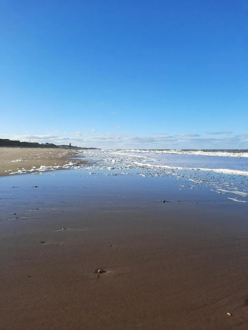 Natural landscape in Regency Guest House