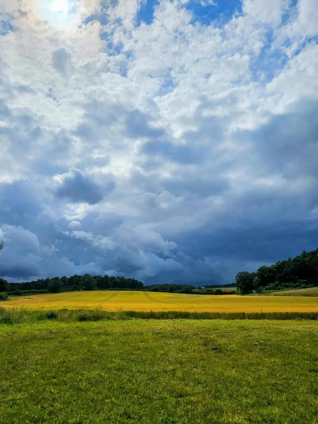 Natural landscape in Regency Guest House