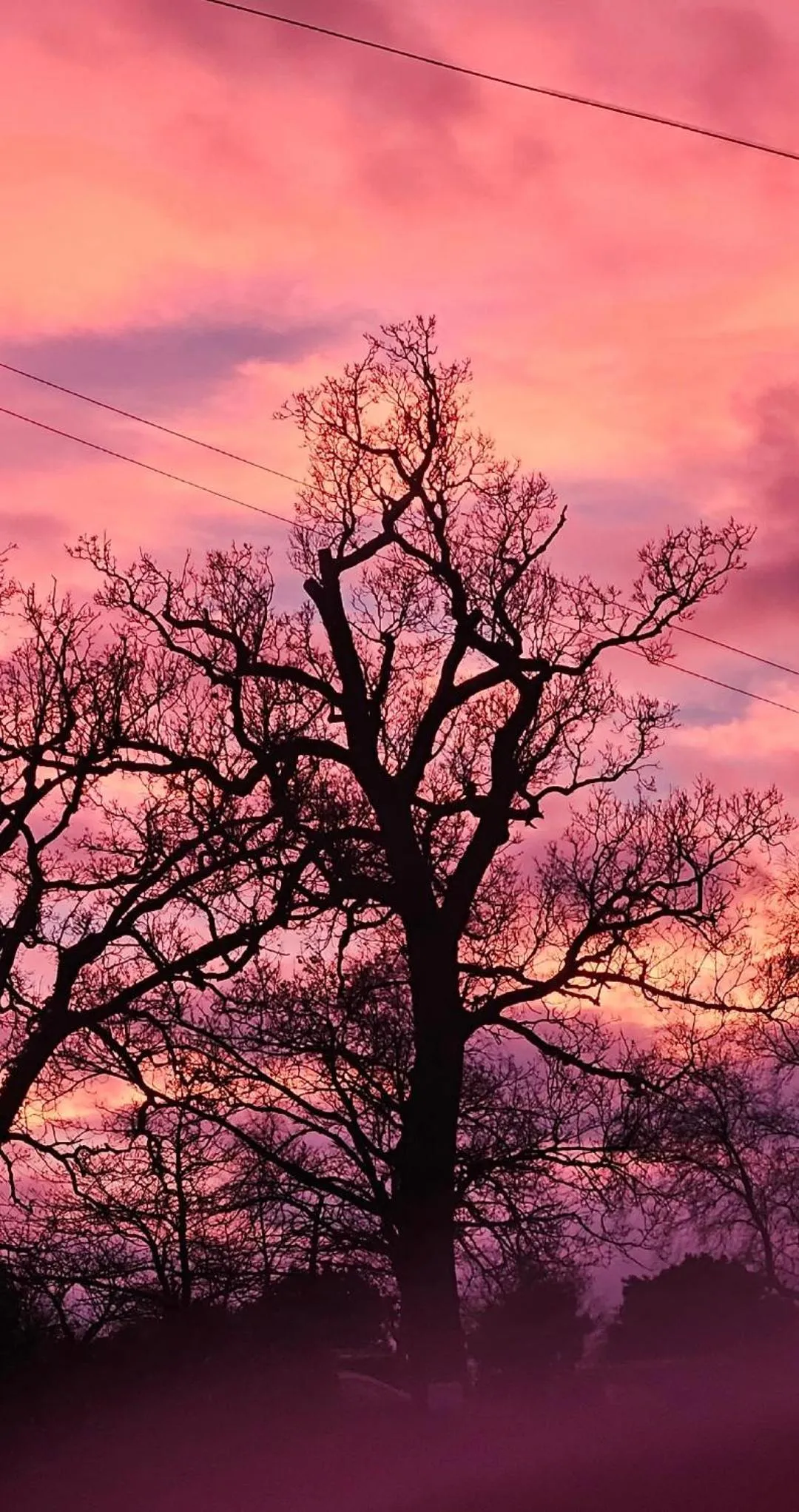 Sunrise in Regency Guest House