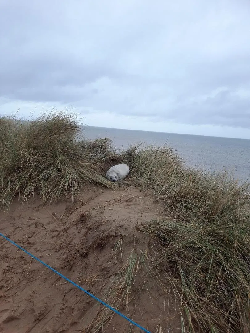 Beach in Regency Guest House