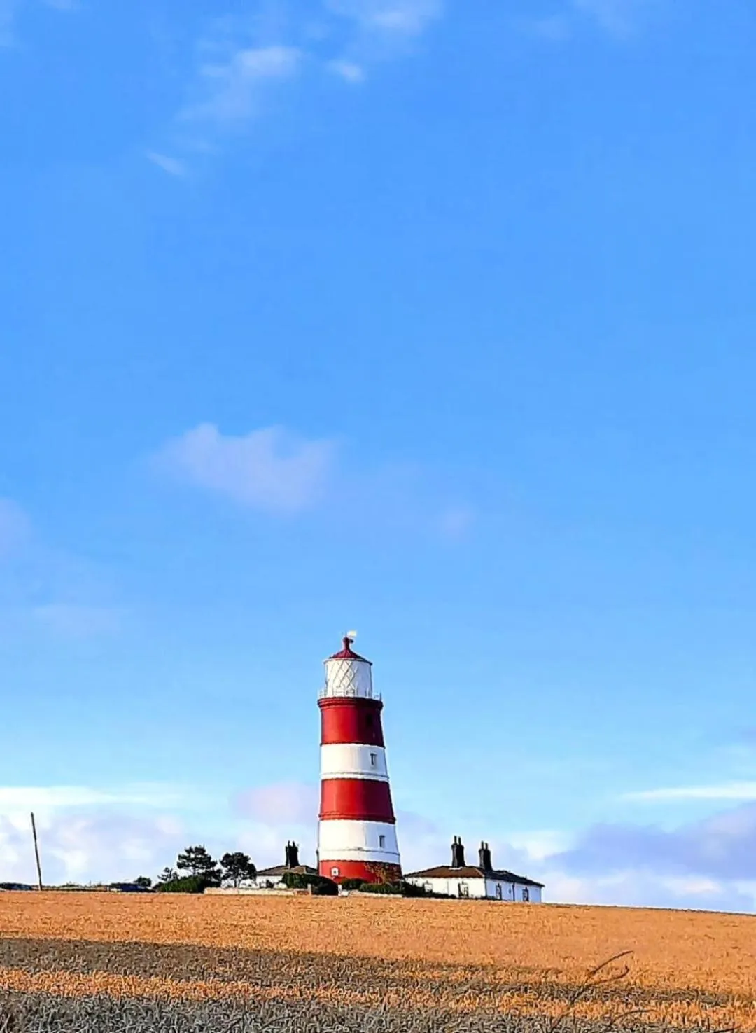 Natural landscape in Regency Guest House