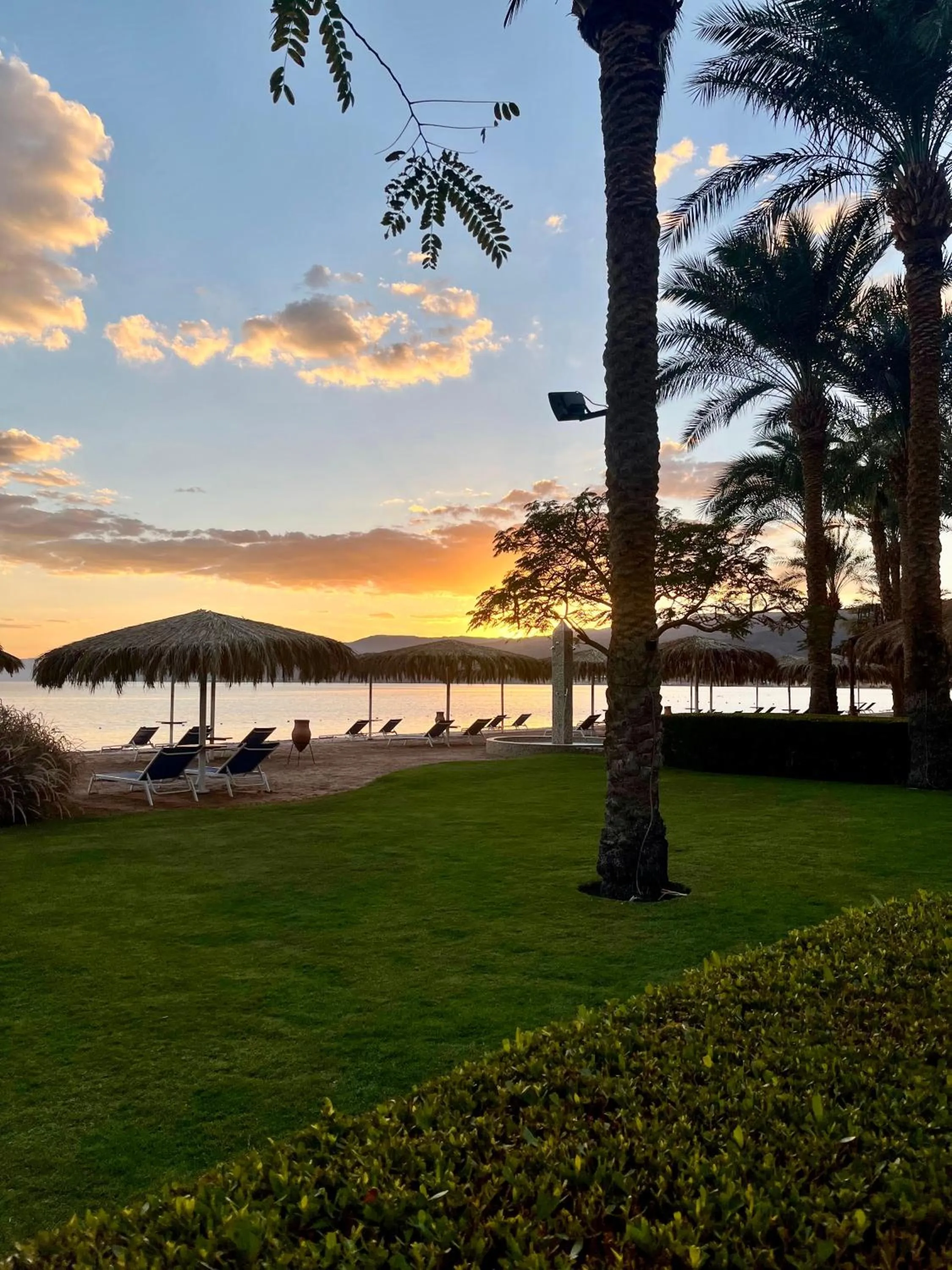 Garden in Steigenberger Hotel & Nelson Village, Taba