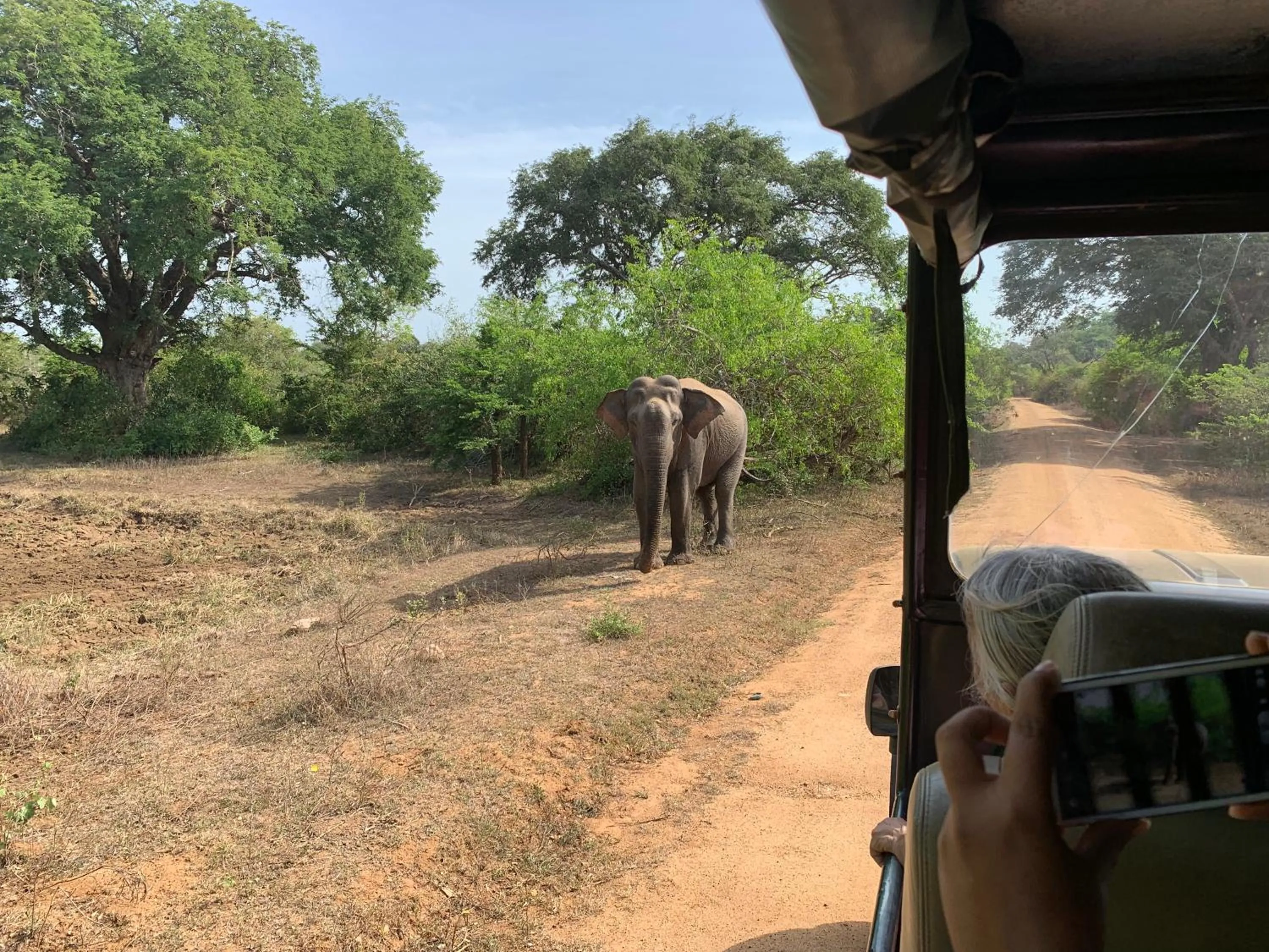 Thihawa Eco Huts Yala