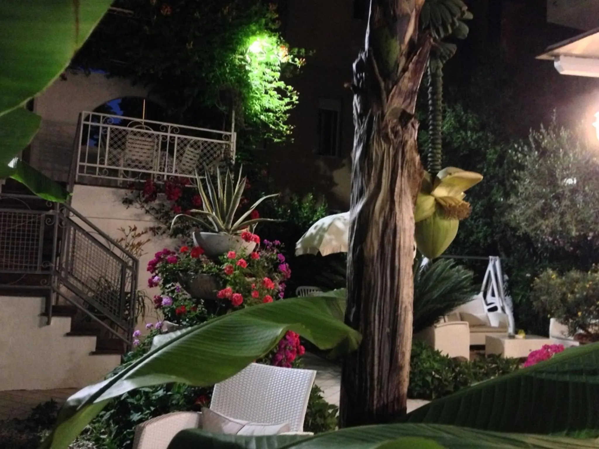 Garden in NOIDUE Hotel