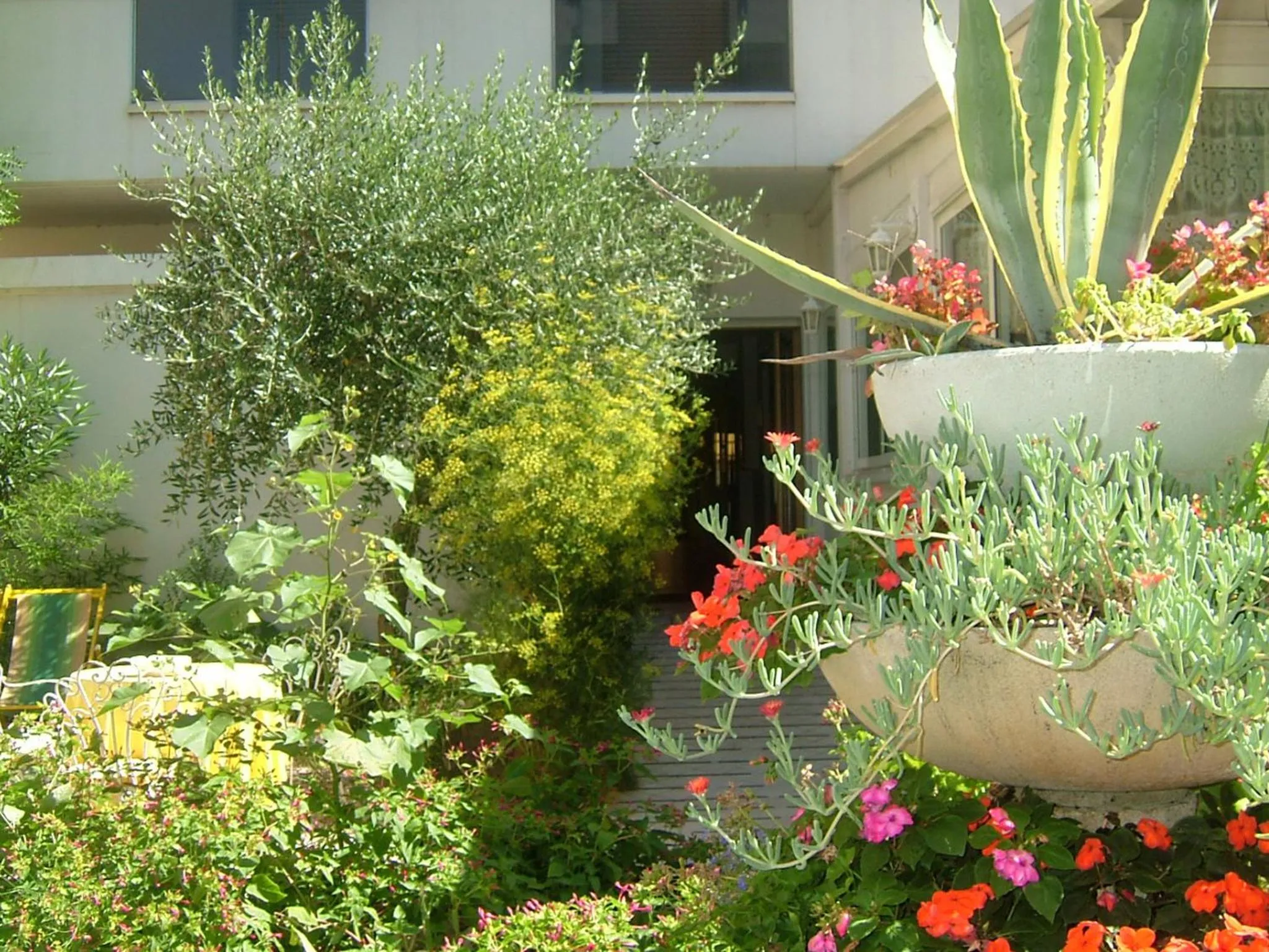 Garden in NOIDUE Hotel