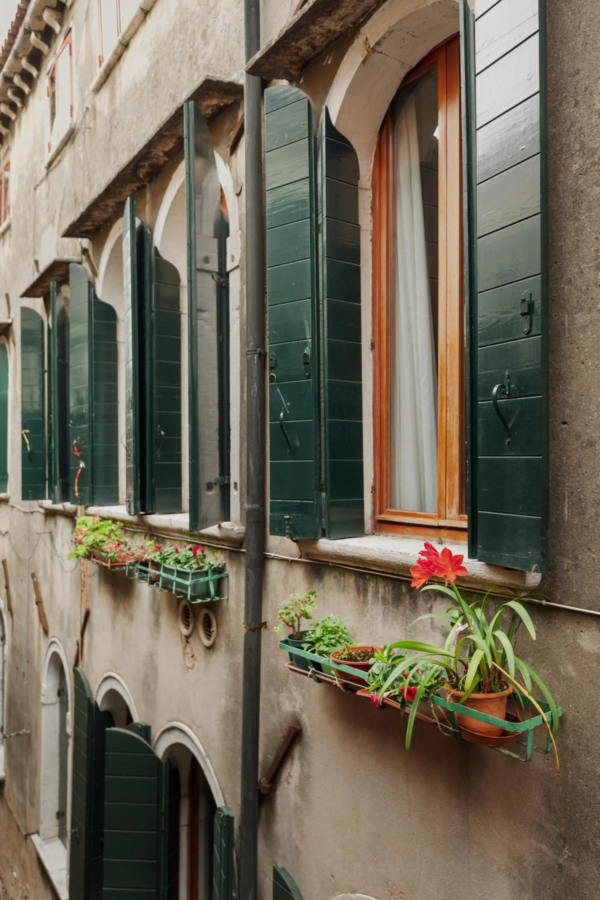 Property building in Bianca Cappello House