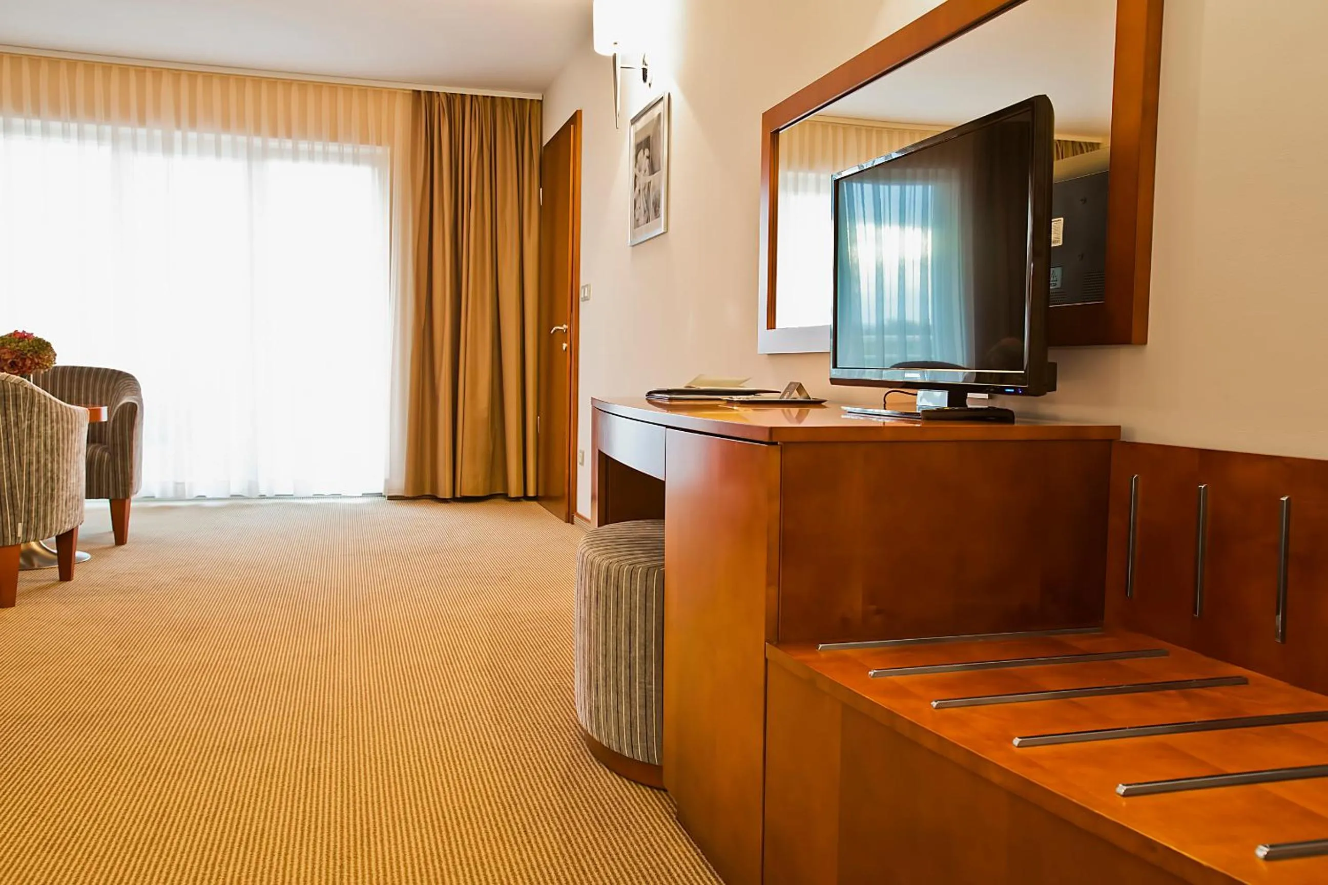 TV and multimedia in Spa & Wellness Hotel Pinia