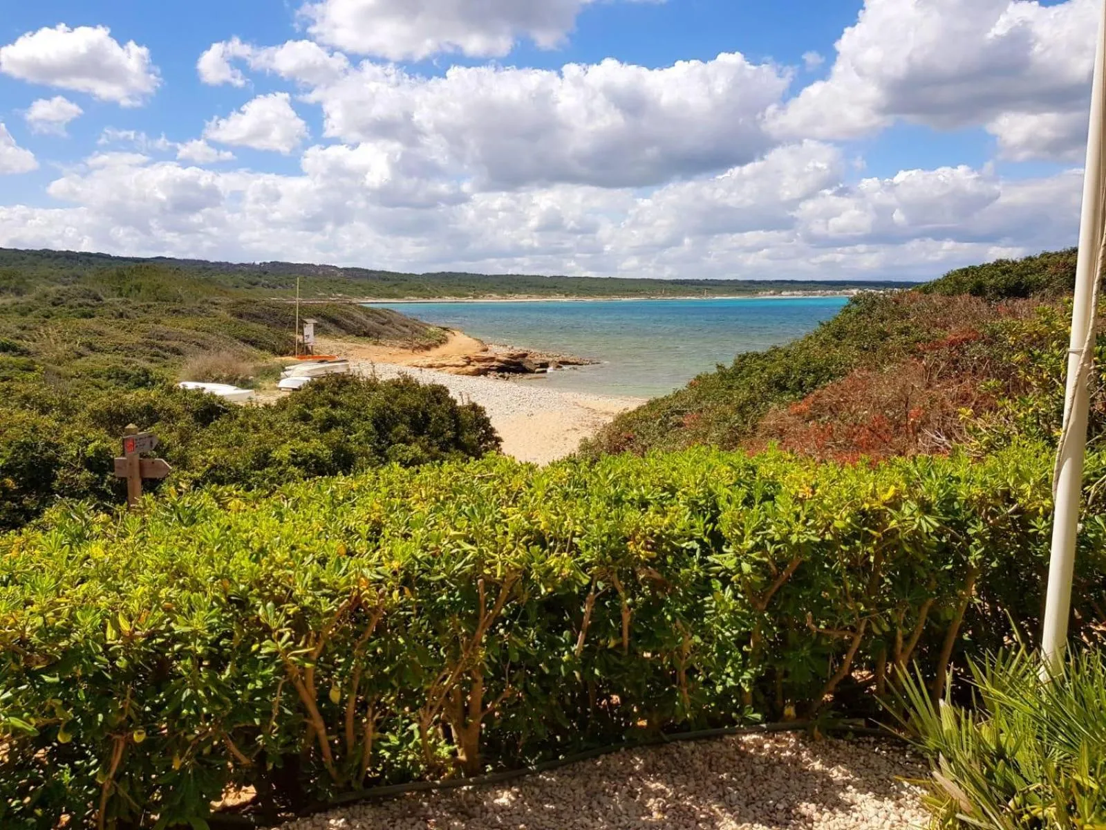Natural landscape in Hotel Es Blau Des Nord