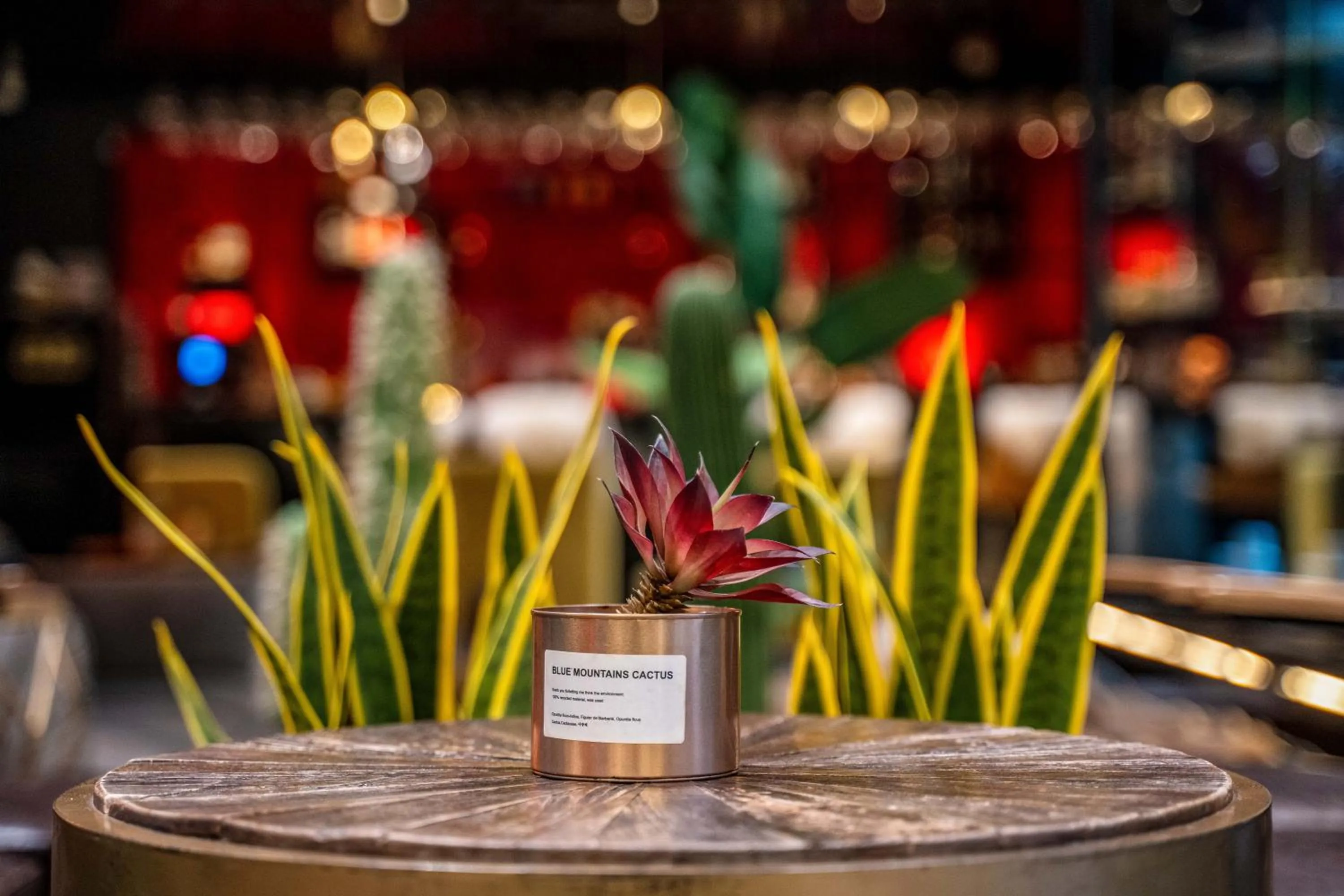 HeSu Hidden Art Hotel & Suites -Near Xi'an Drum Tower and Yongning Gate -Free Laundry Luggage Storage -Kitty Café with Freshly Ground Coffee -24H Front Desk -English Service -Exclusive Subsidies for Dumpling Banquet & Show