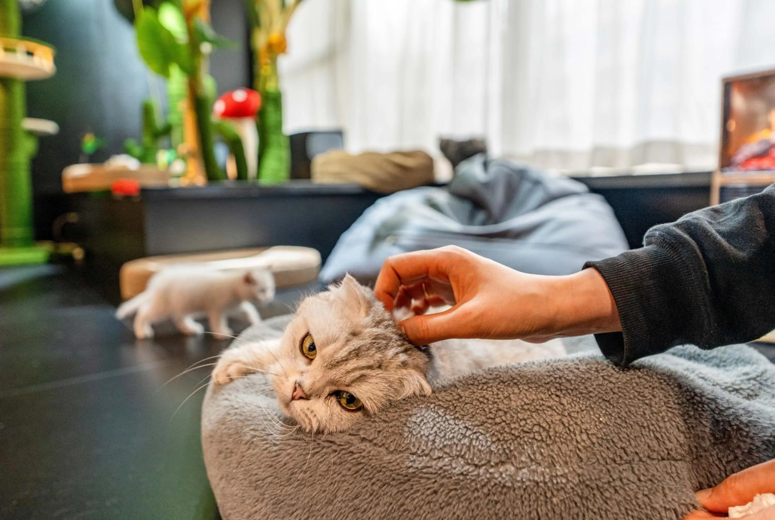 HeSu Hidden Art Hotel & Suites -Near Xi'an Drum Tower and Yongning Gate -Free Laundry Luggage Storage -Kitty Café with Freshly Ground Coffee -24H Front Desk -English Service -Exclusive Subsidies for Dumpling Banquet & Show