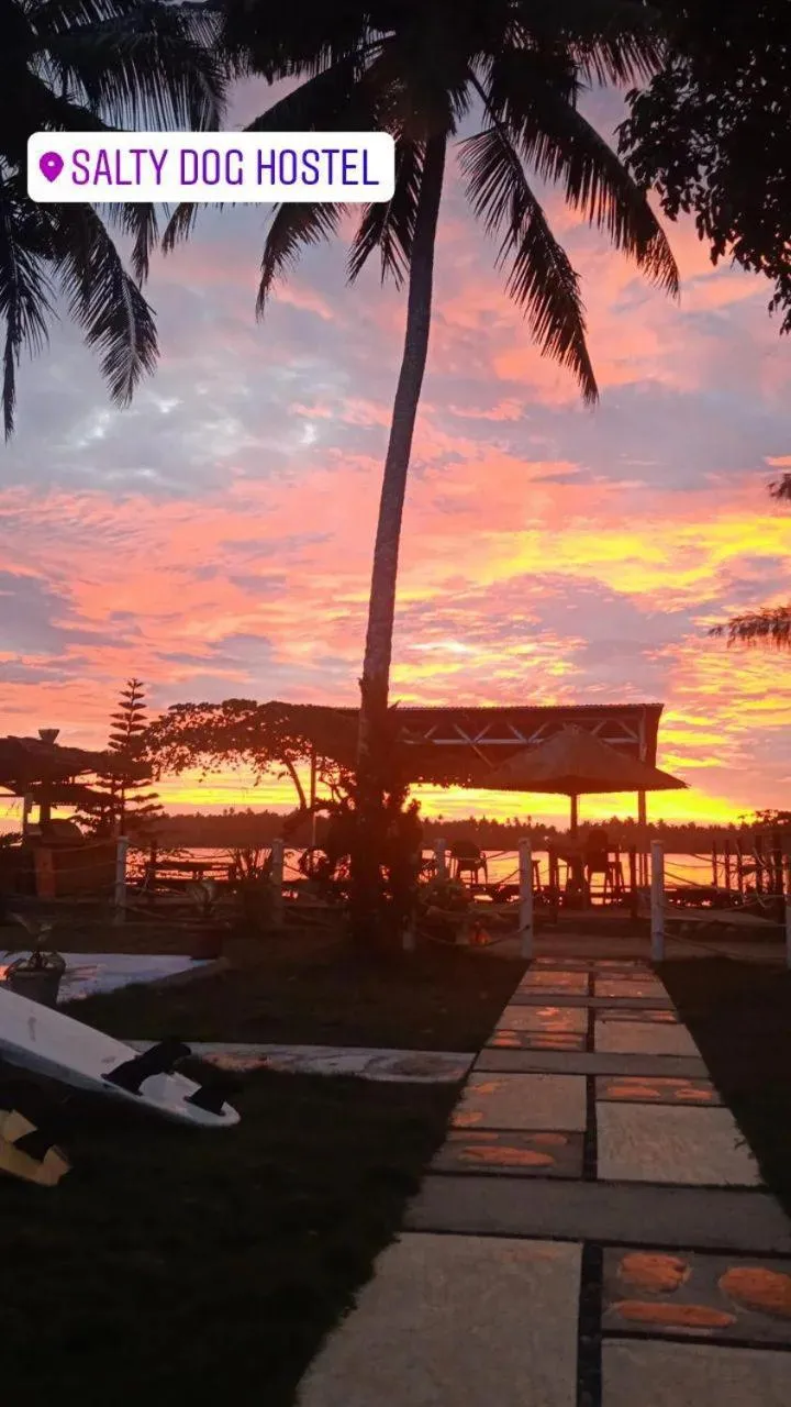 Natural landscape in Salty Dog Hostel