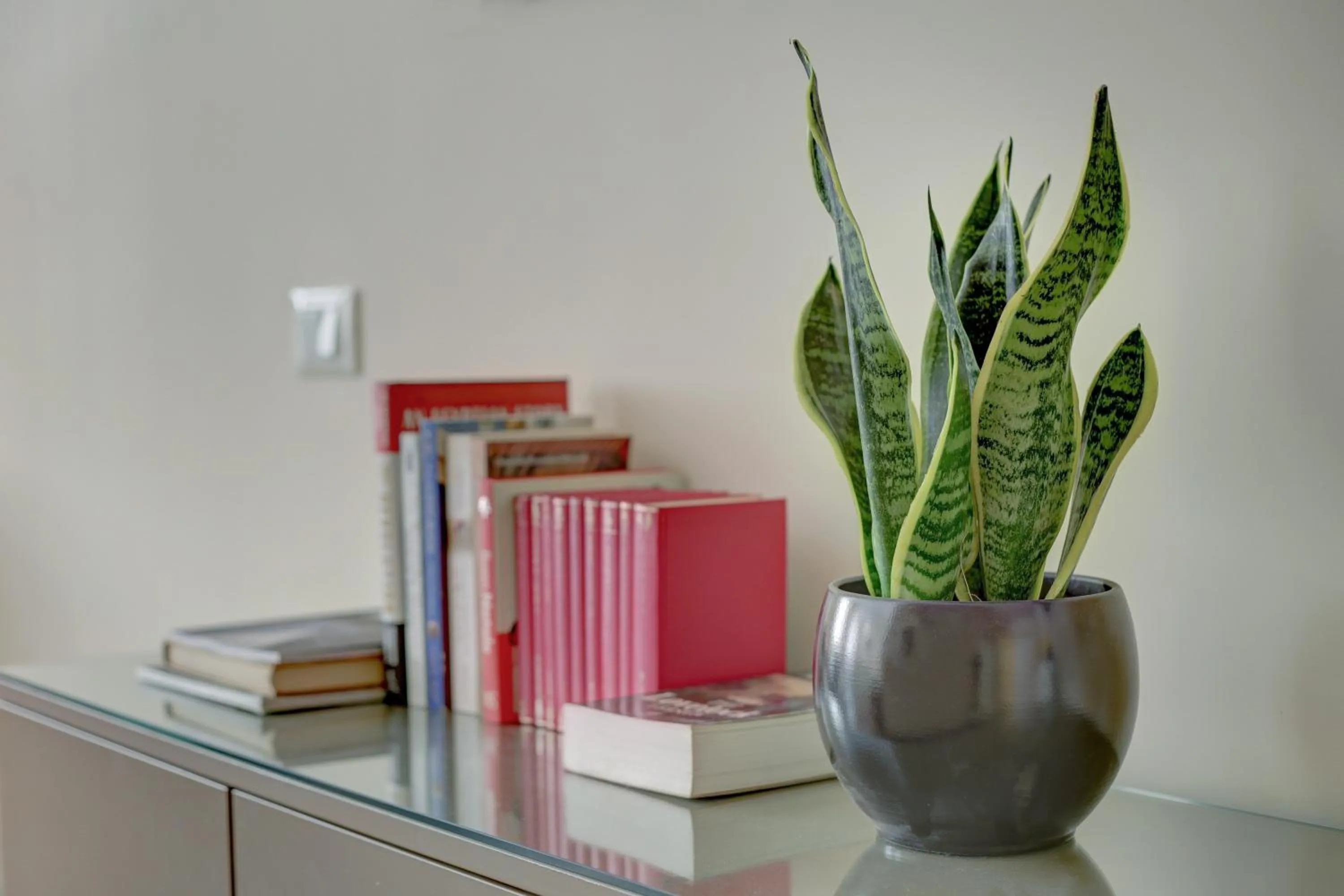 Decorative detail in Colosseo Gardens - My Extra Home