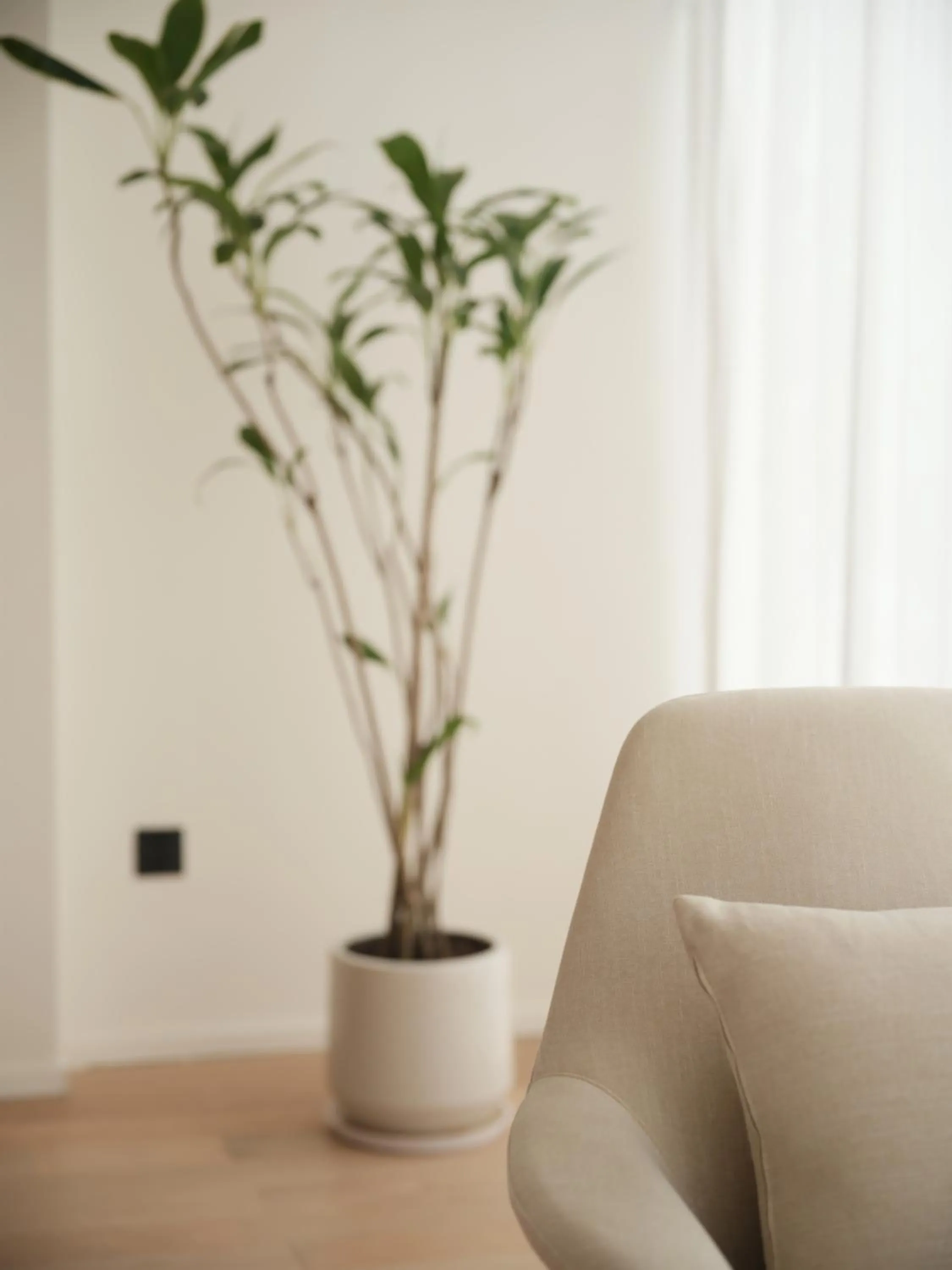 Living room in Guilin Bonjour Boutique Hotel- Free pick up service over 3 nights