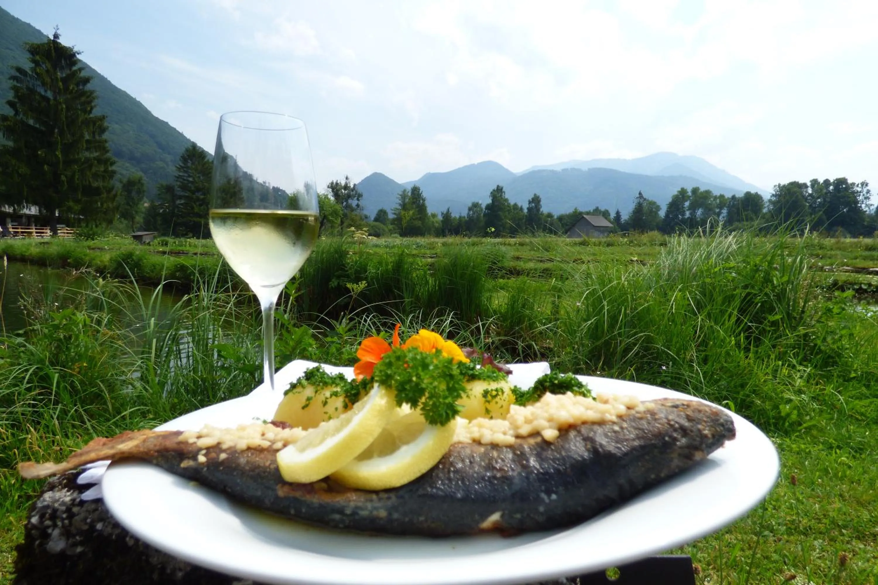 Wieselmühle Forellenhof