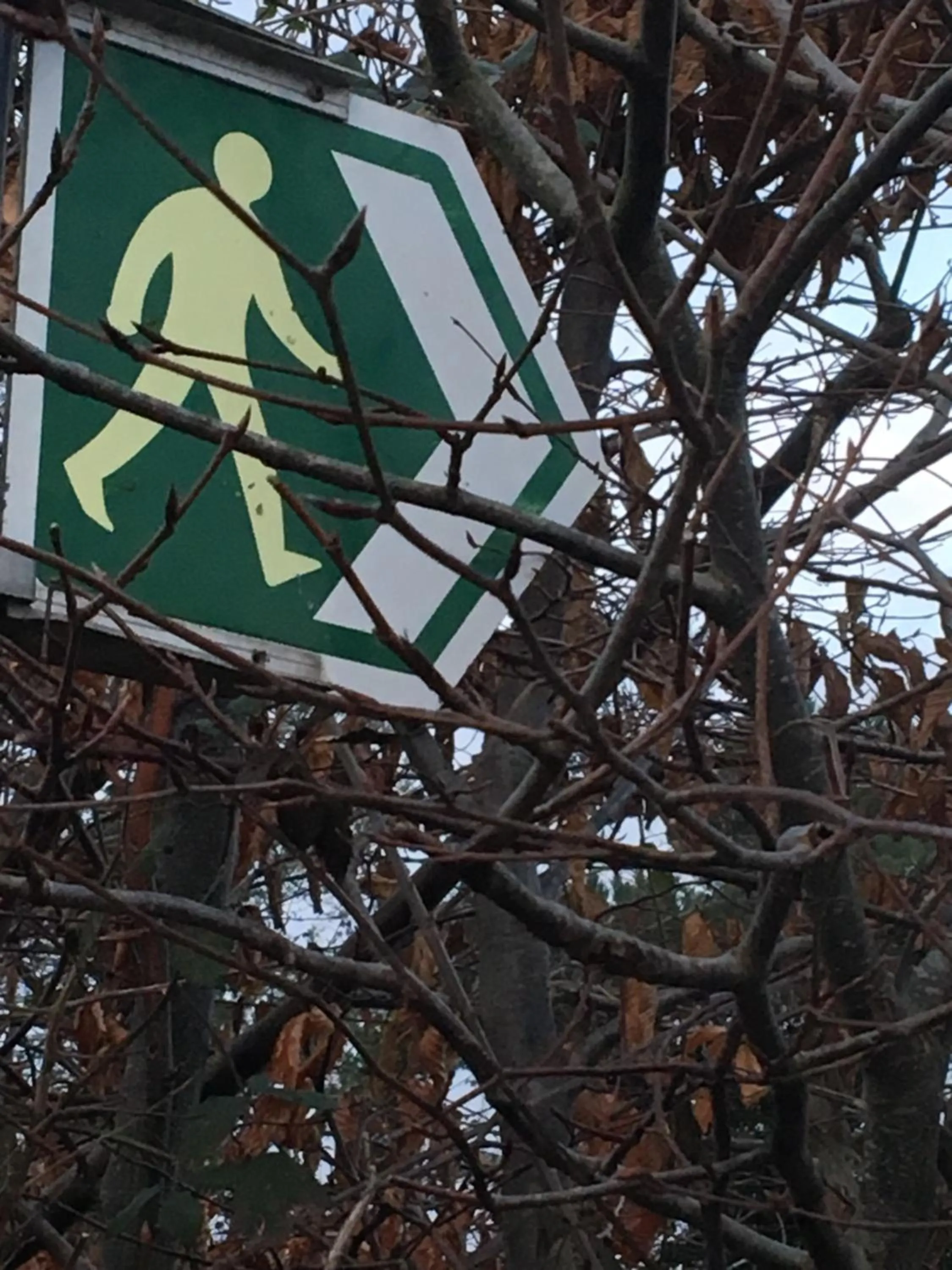 Property building in Tafarn y Waen - Guesthouse