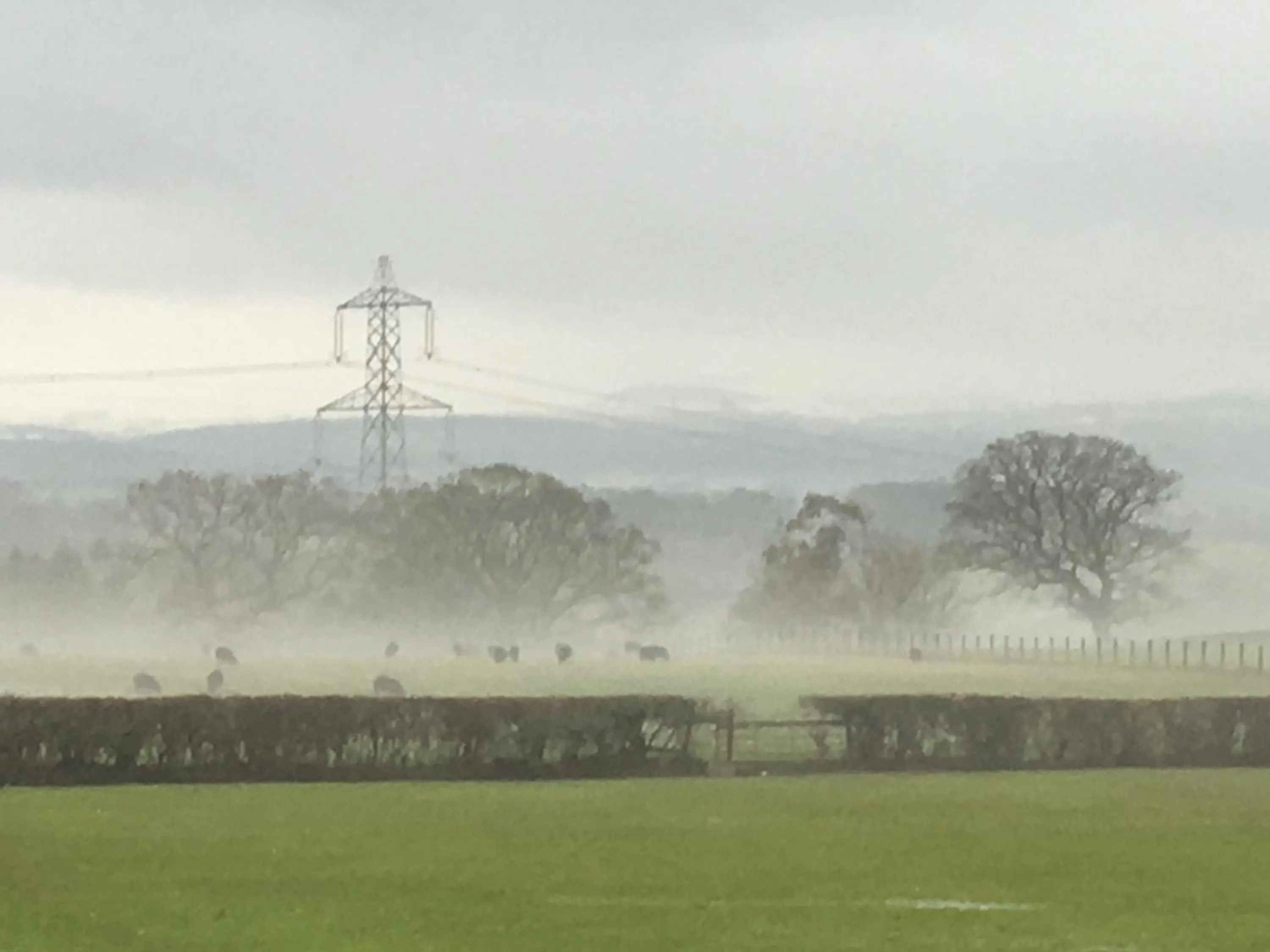 Street view in Tafarn y Waen - Guesthouse