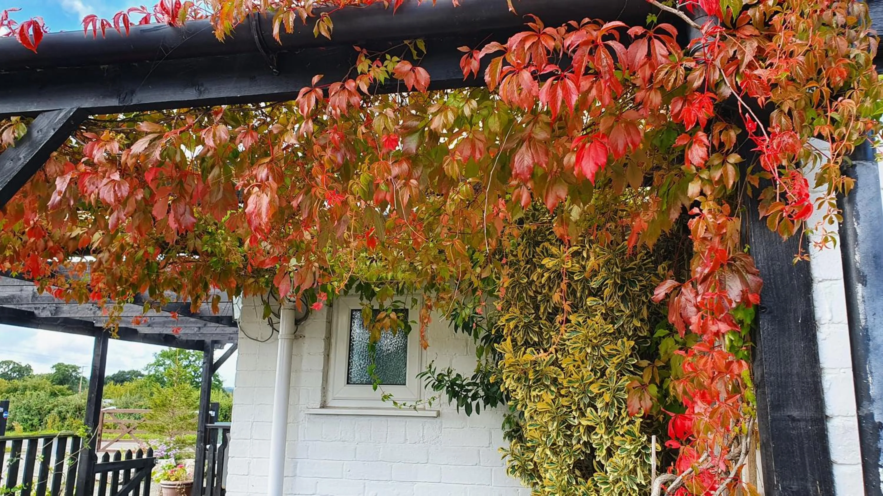 Facade/entrance in Tafarn y Waen - Guesthouse