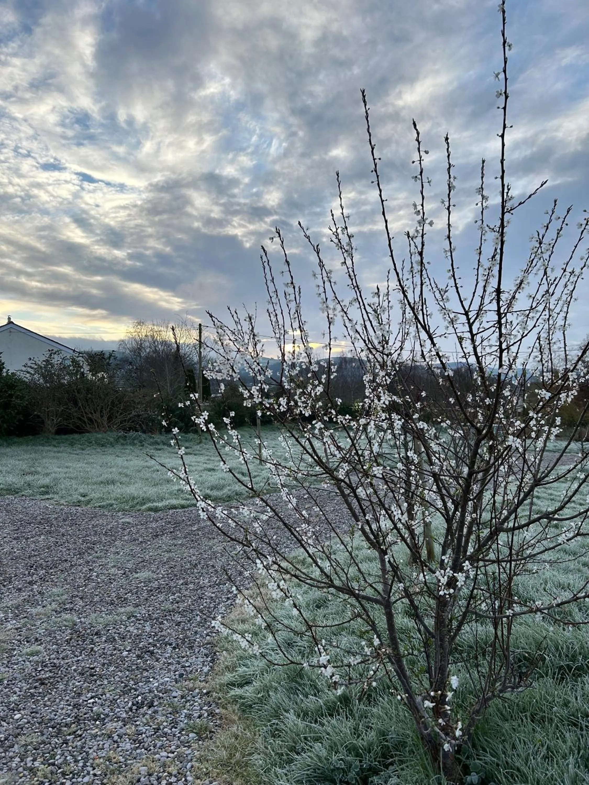 Natural landscape in Tafarn y Waen - Guesthouse