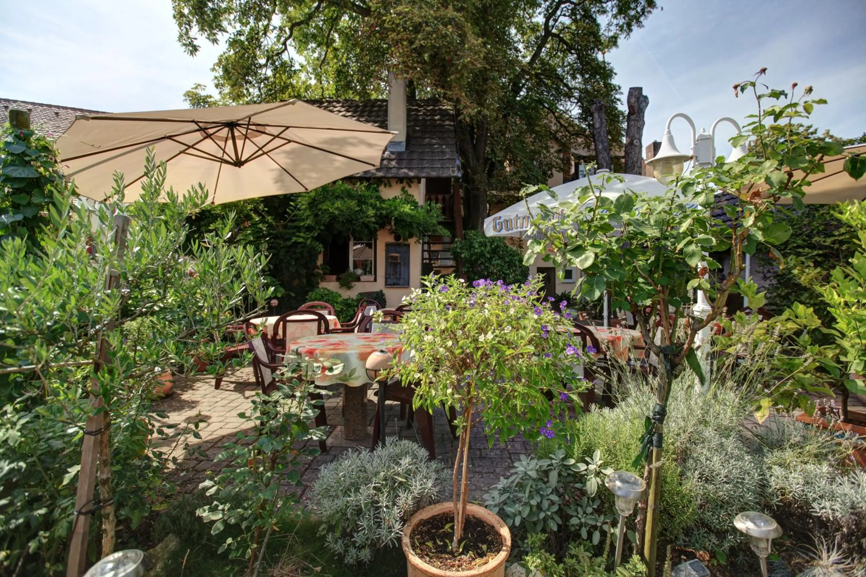 Facade/entrance in Gasthaus zum Hirschen