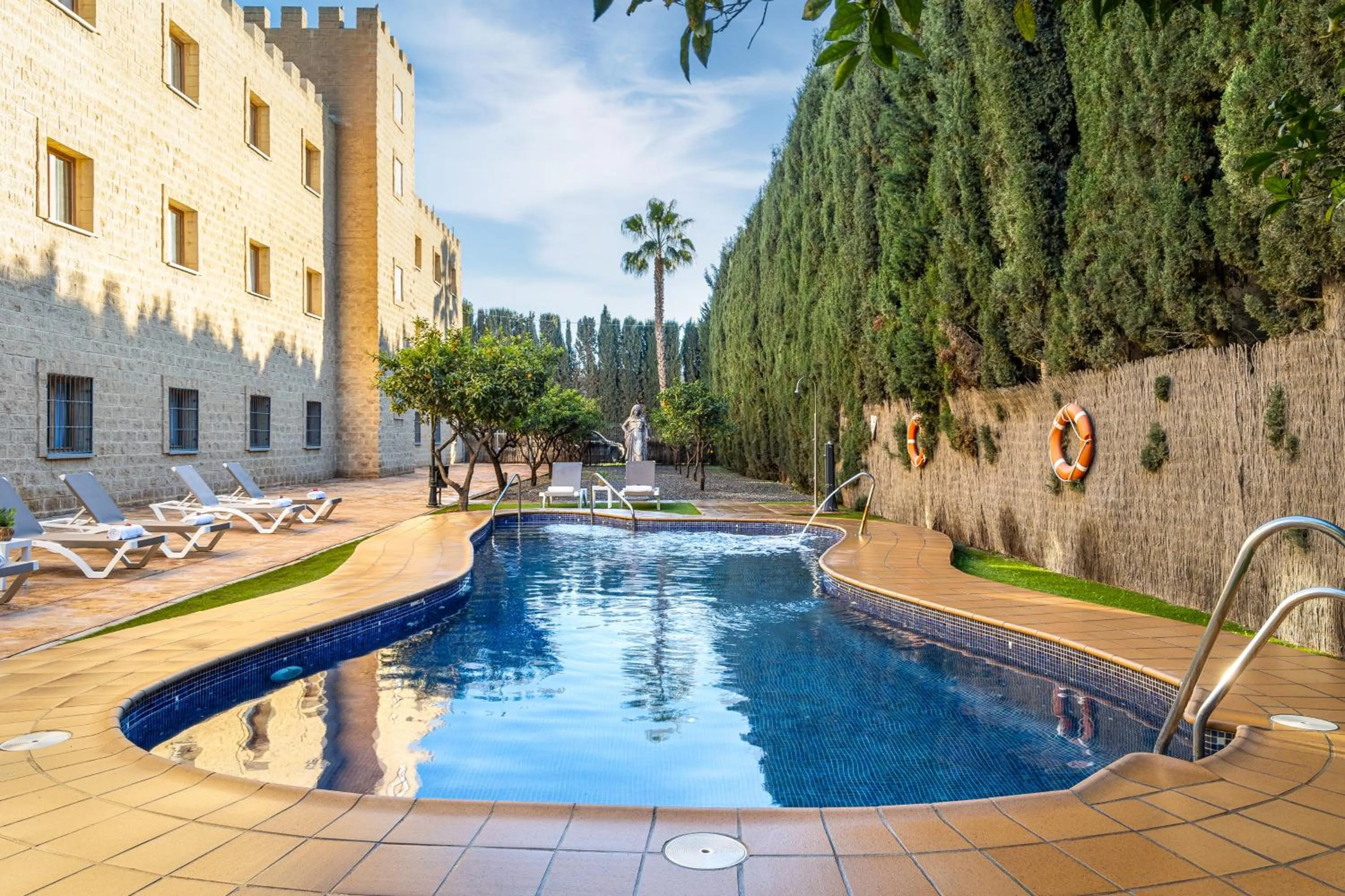 Swimming pool in Hotel Plaza Del Castillo